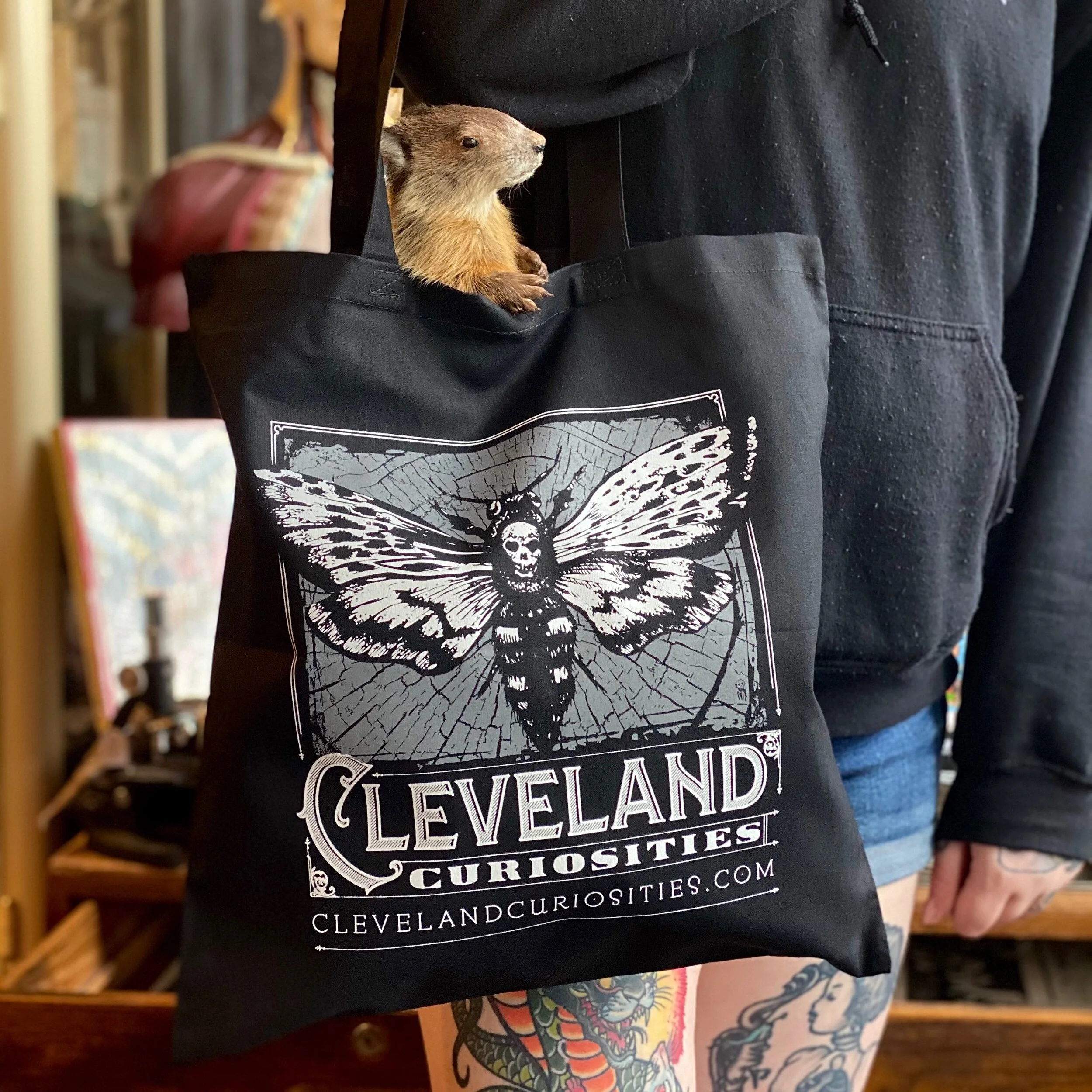 228CD79E-982C-4494-B4BC-E36355B527D3