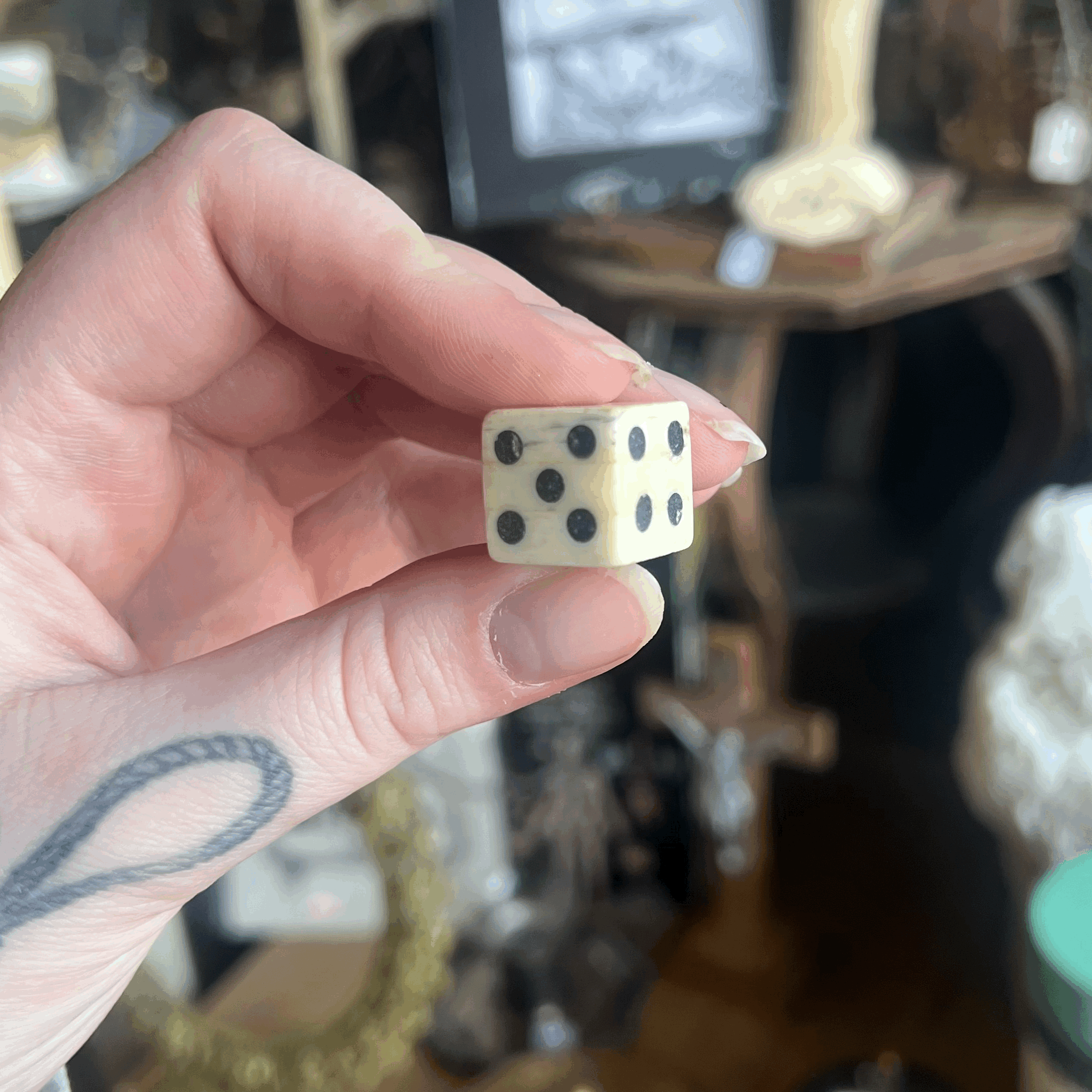 Real Camel Bone Dice — Cleveland Curiosities