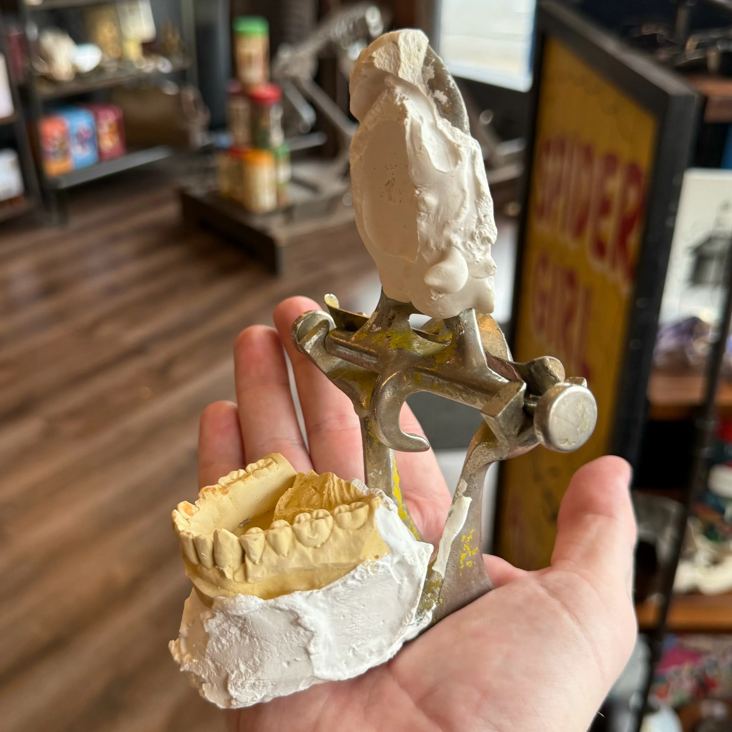 Shop — Cleveland Curiosities