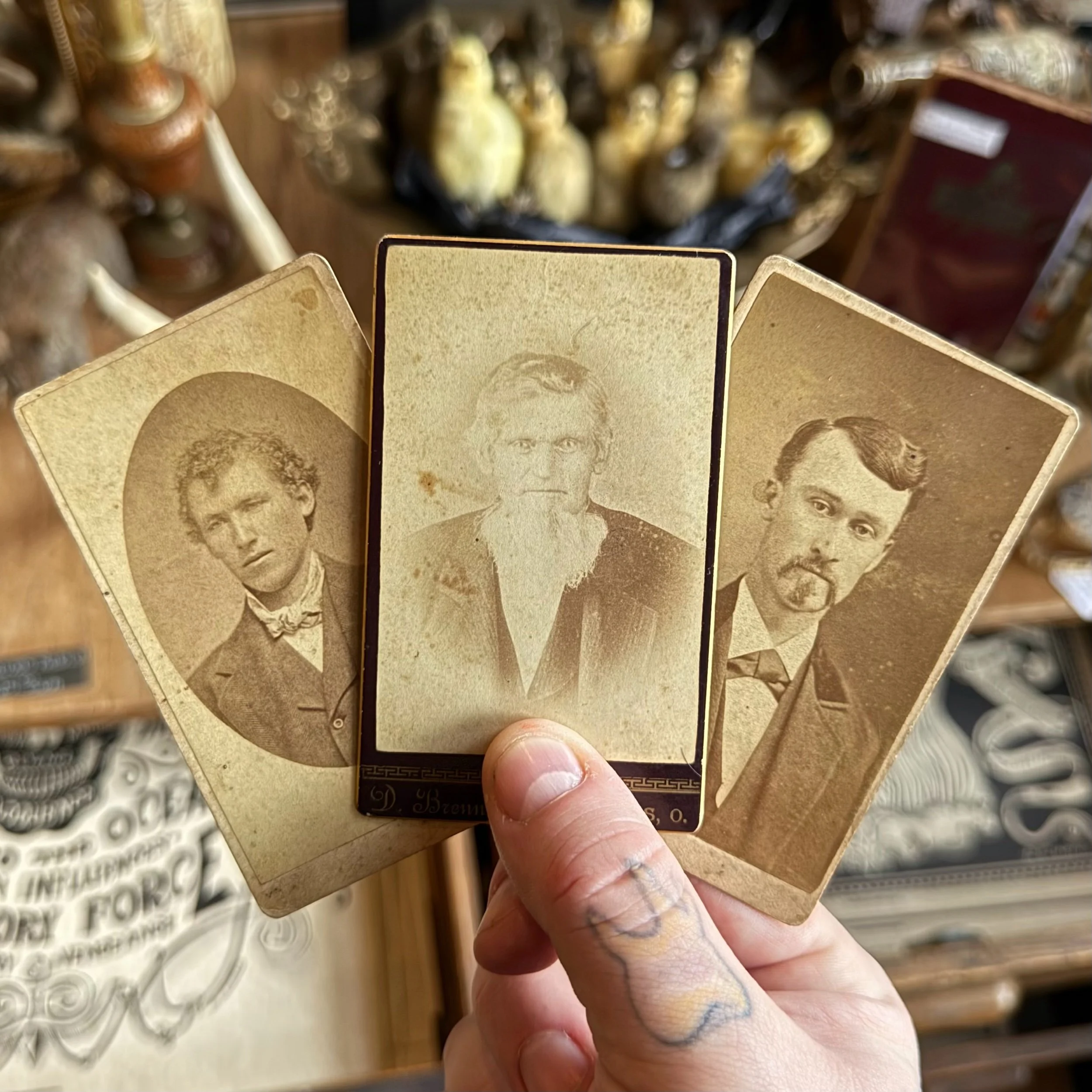Set Of 3 Antique Cabinet Cards — Cleveland Curiosities