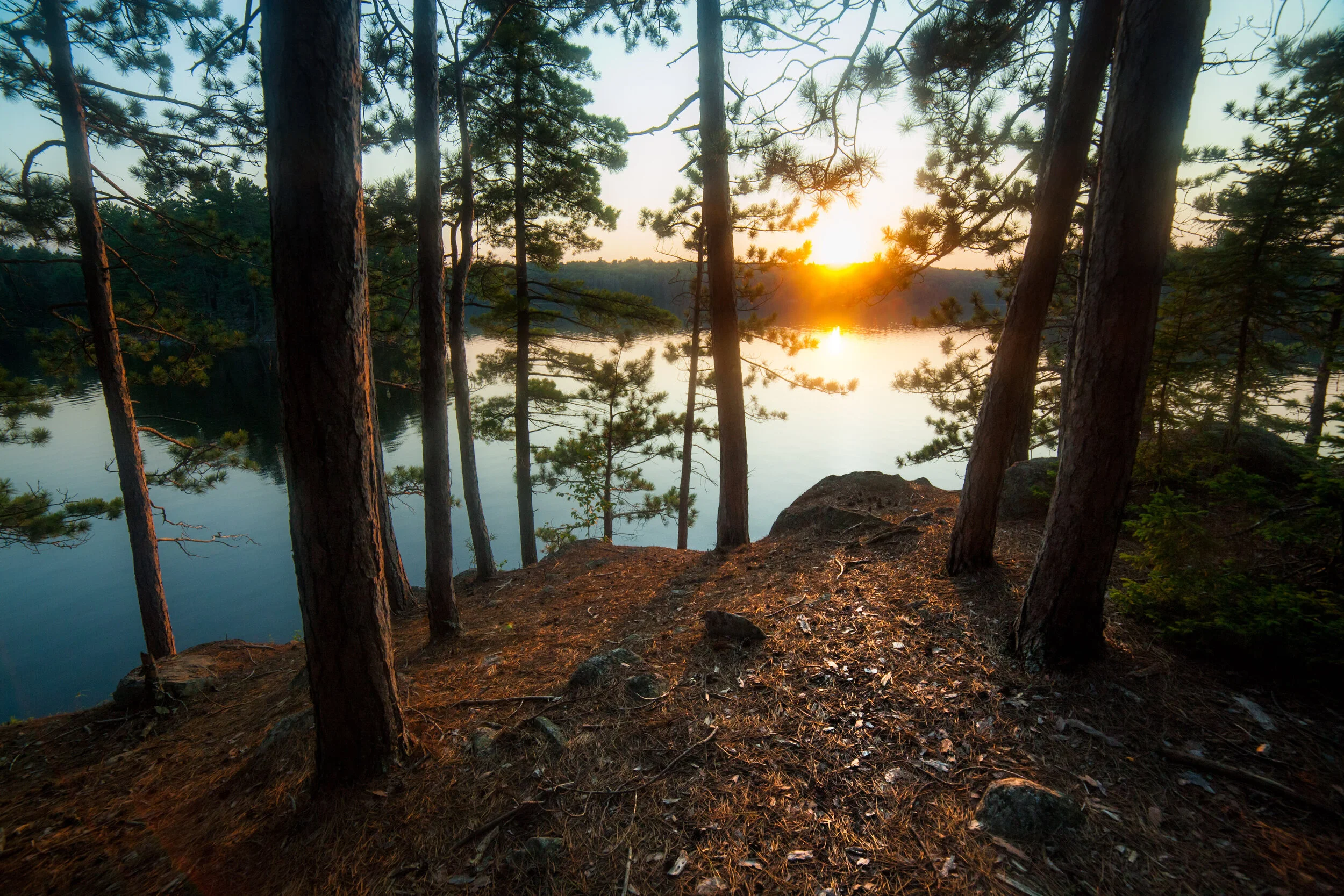 Algonquin_Park_Sunset_and_Pine_Trees_Ontario_Canadian_Wilderness_Landscape.jpg