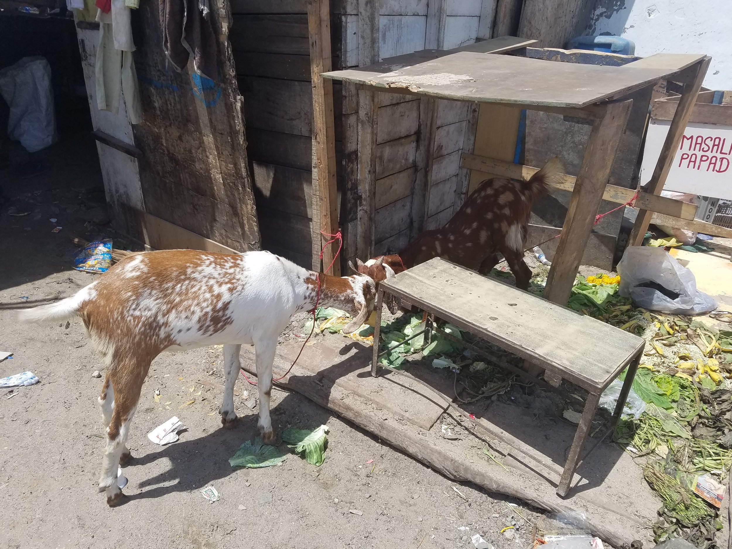 #stefoncurrygoat on the beach yo?