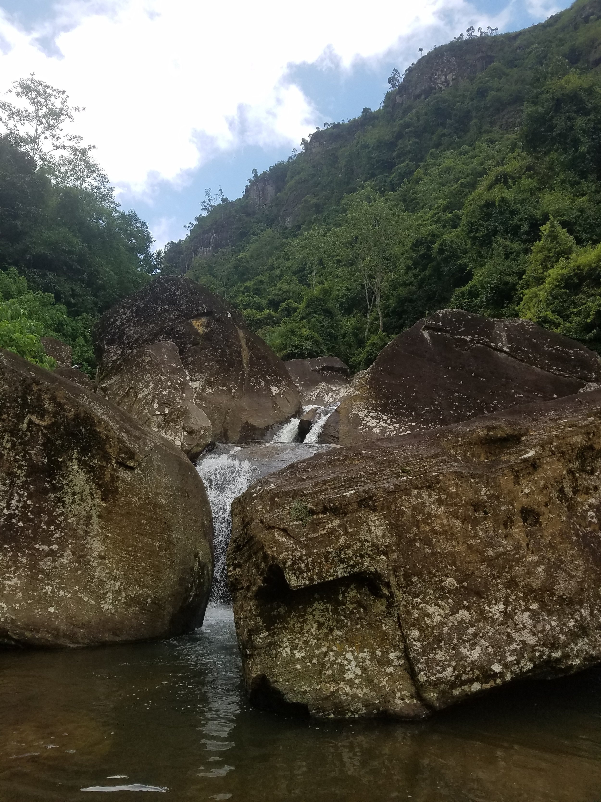 20170629_134212.jpg