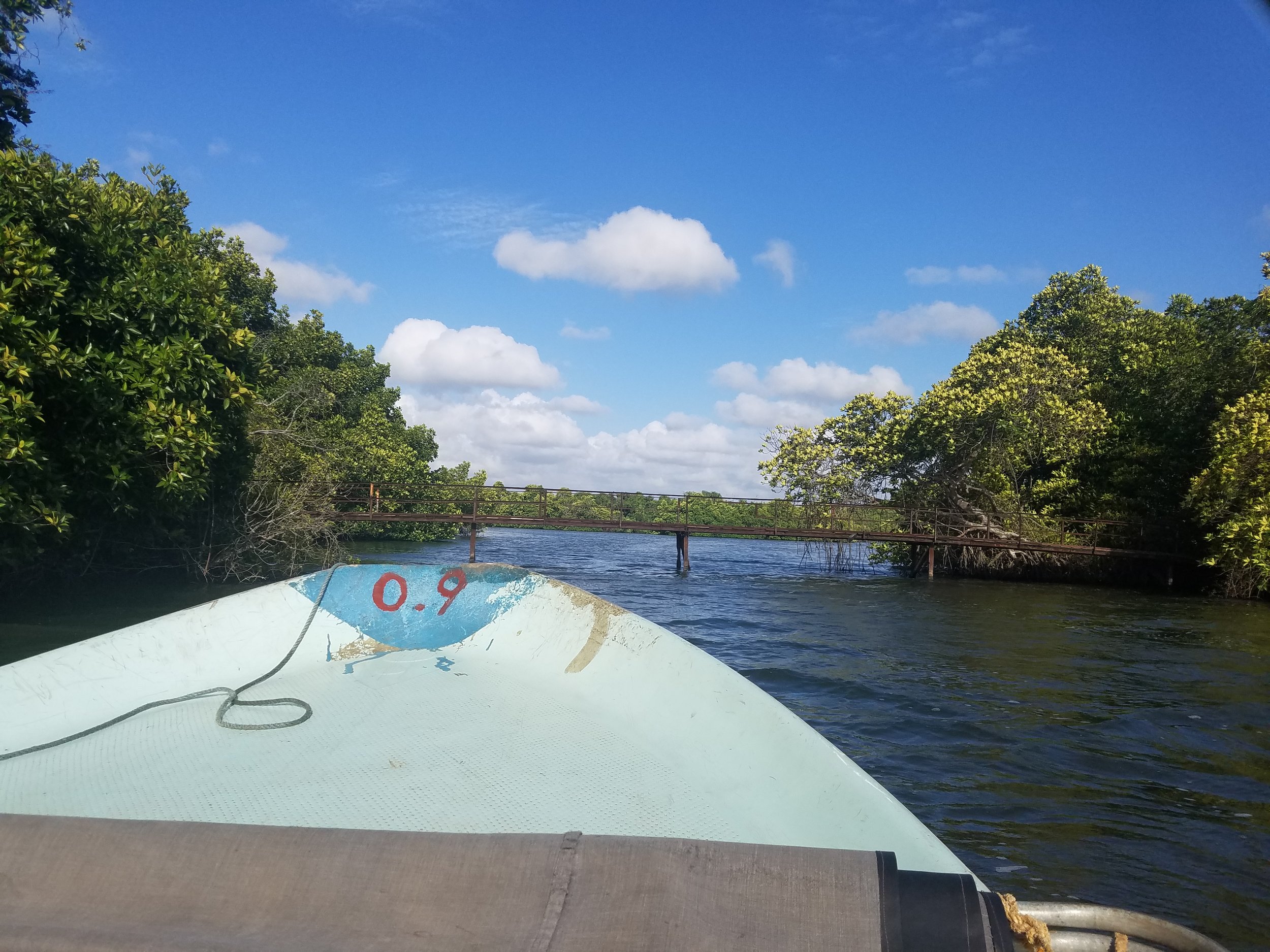 20170630_161644.jpg