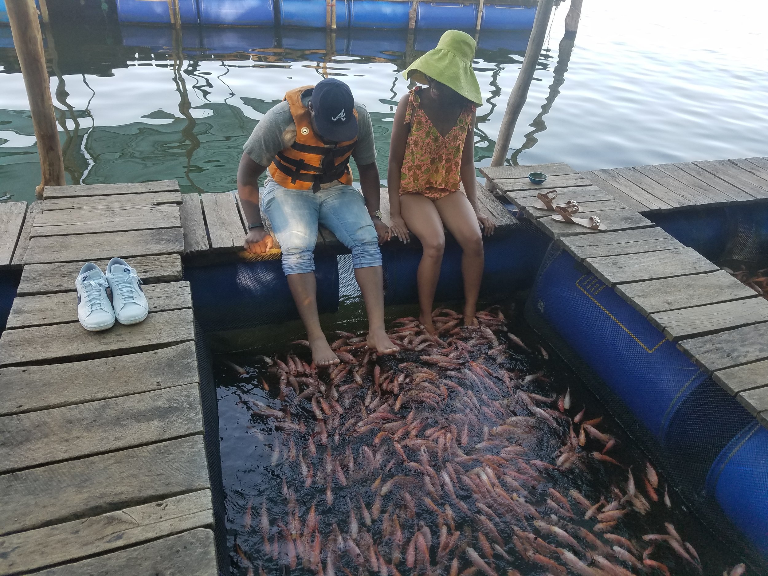 20170630_163954.jpg
