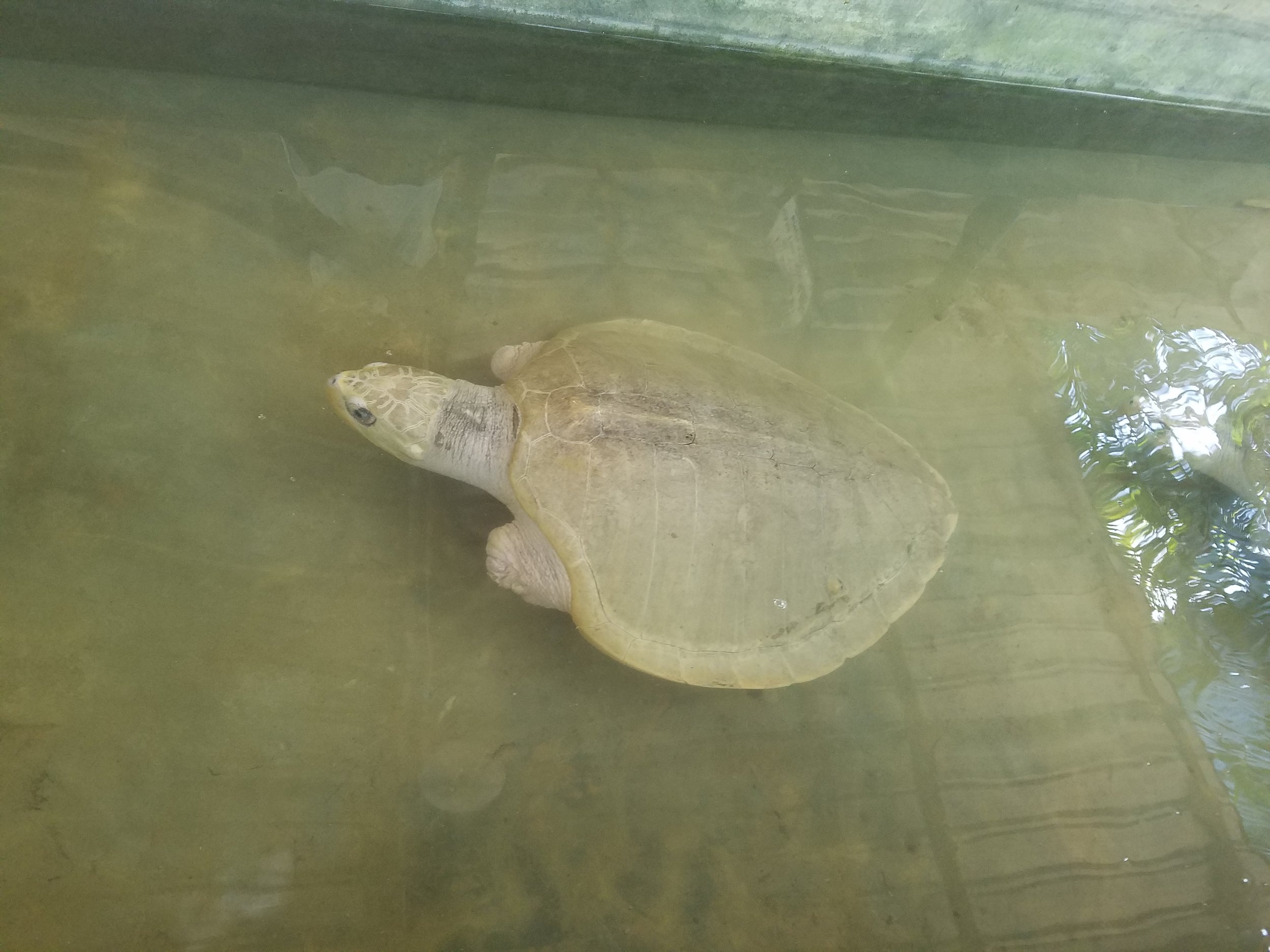 20170630_143329.jpg