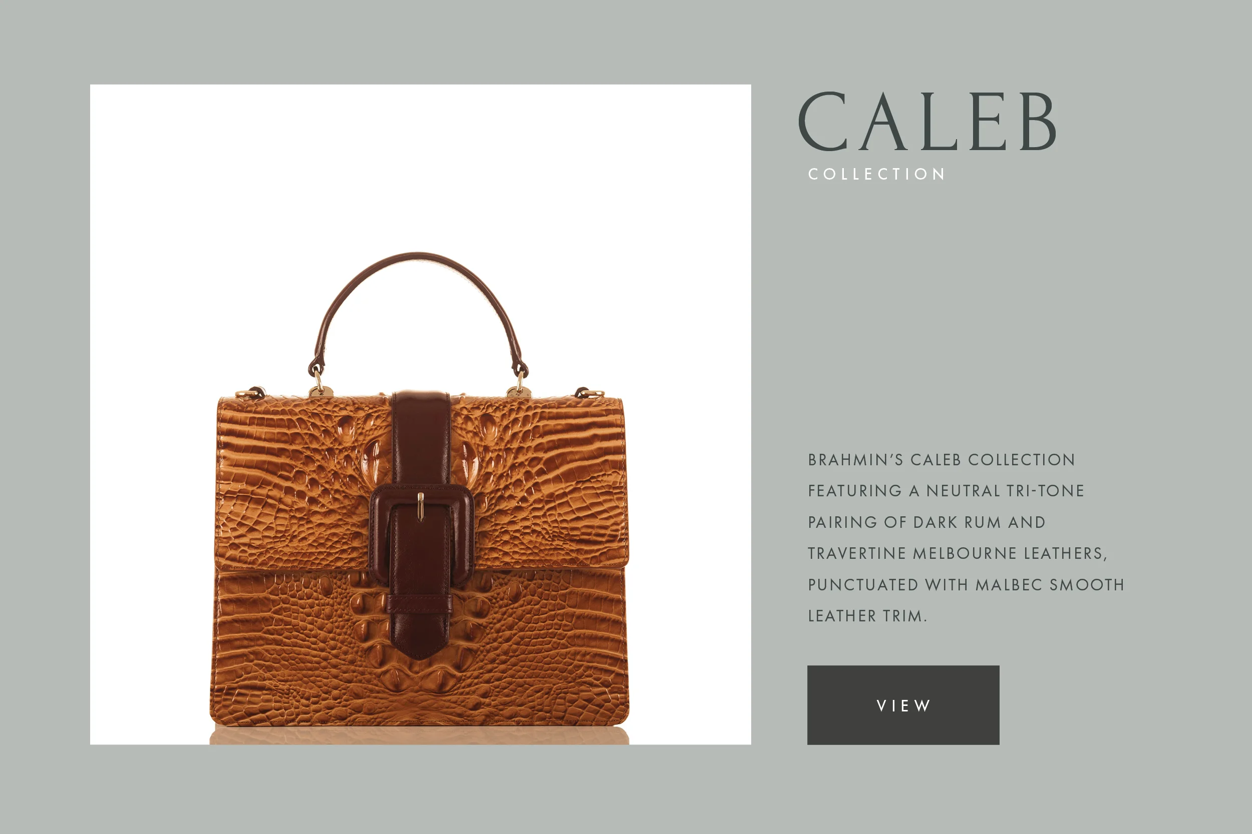 alber_collection features.jpg
