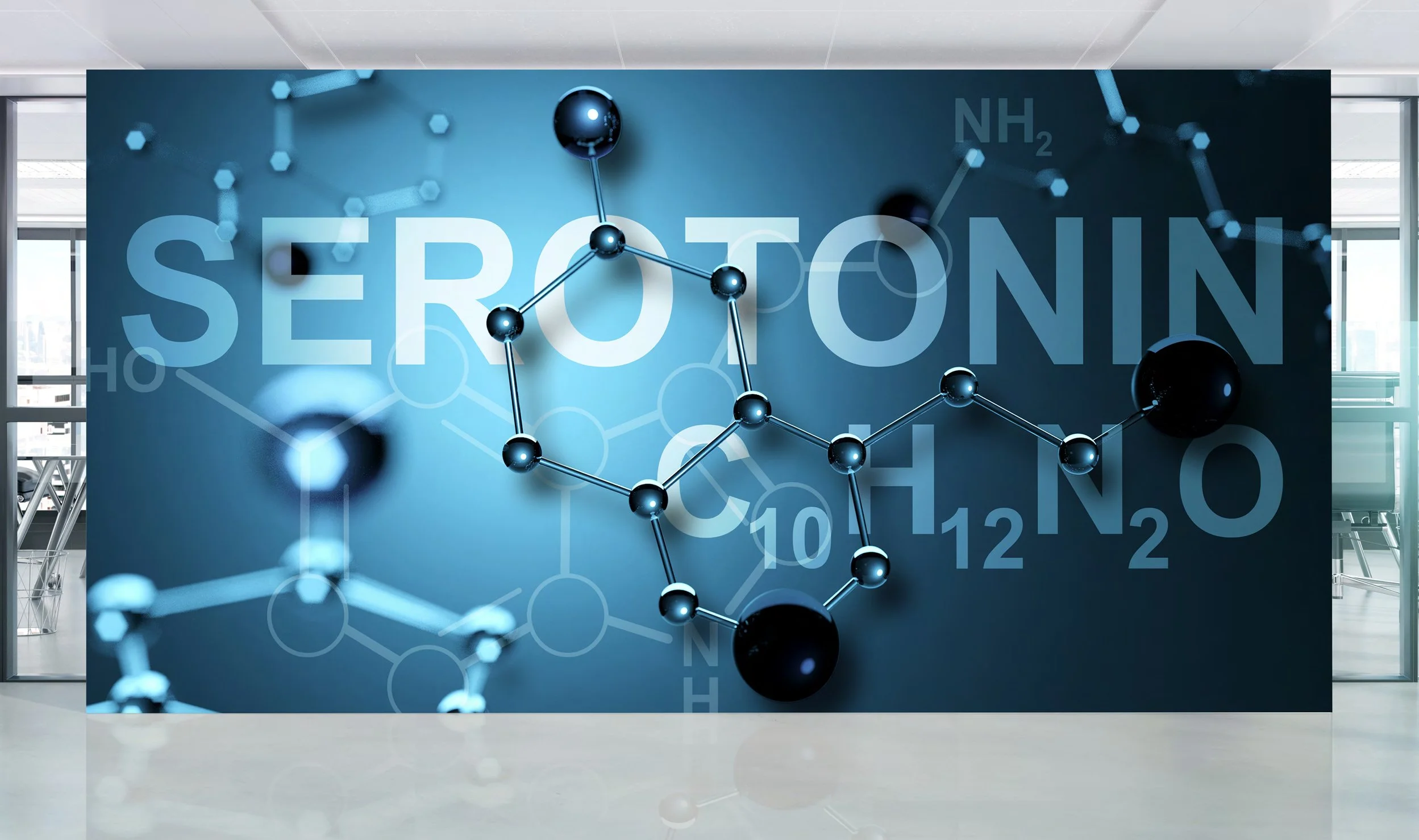 SJC_STEM Cntr_wall graphic 2.jpg