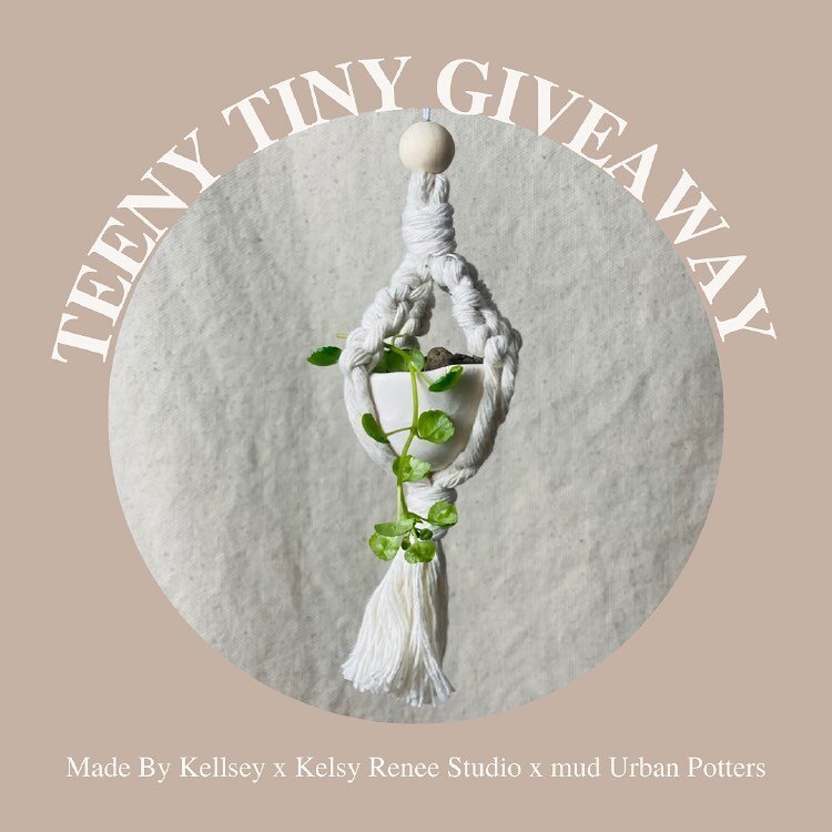 GIVEAWAY ALERT 🌱 [ repost from @mud.potters ]

In anticipation of the Macrame Plant Pot workshop we are partnering up with @madebykellsey &amp; @kelsyreneestudio for a itty bitty giveaway. ✨

Enter to win this beautiful Macrame holder made by @kelsy