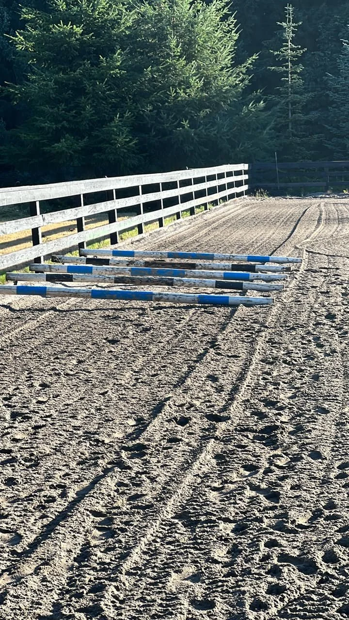 A Back for the Future Exercise