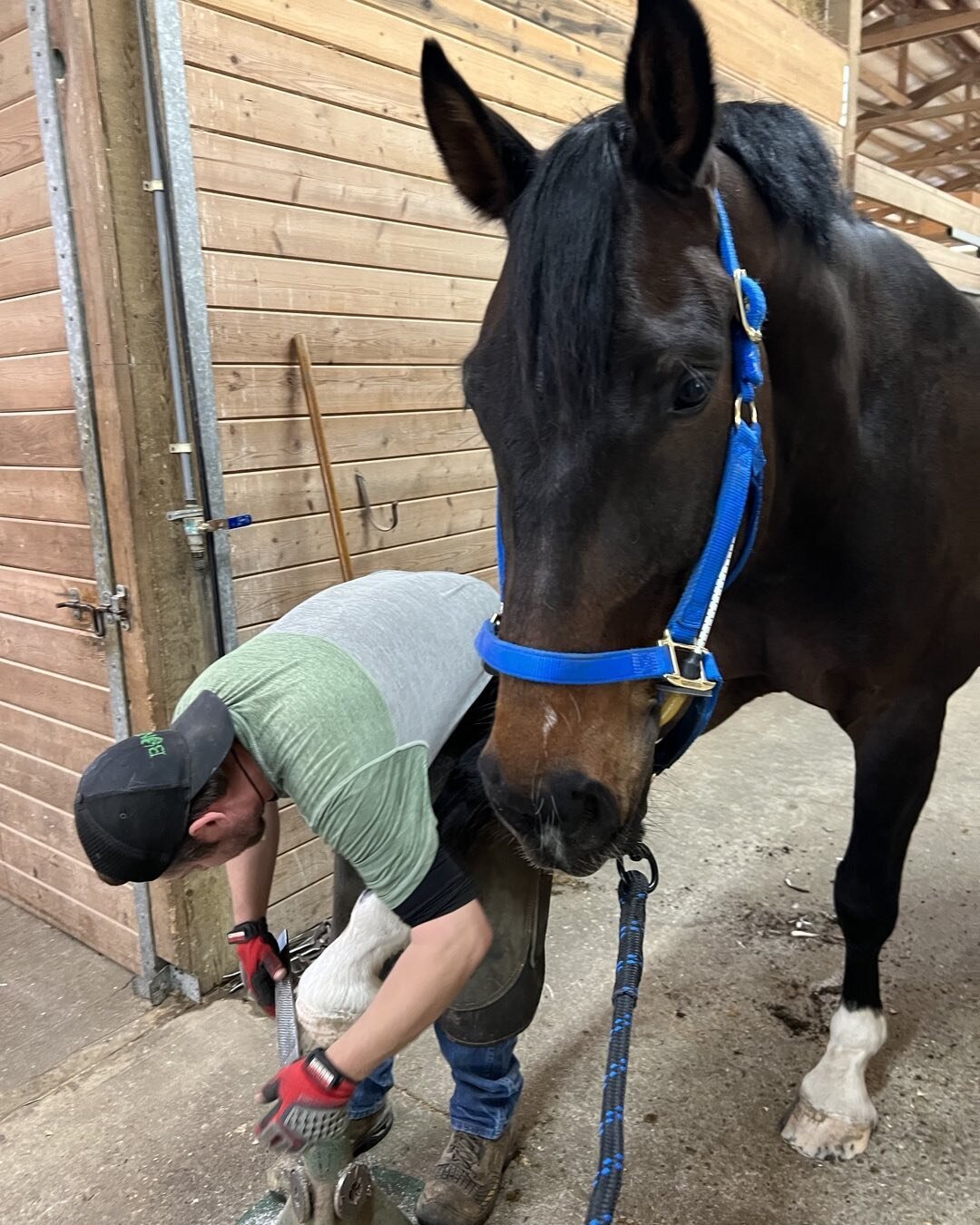 We love our busy buddy from Thin Line while getting a pedicure