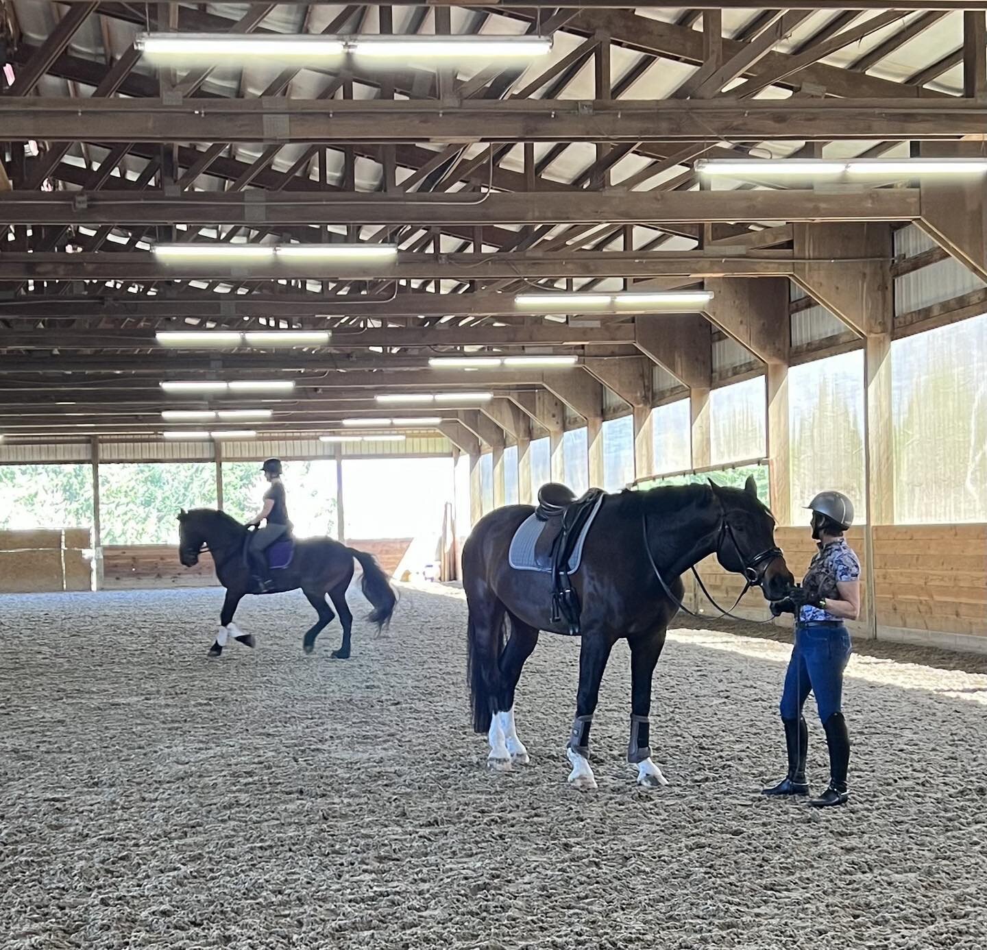 Kade waits for his turn while Elin and Tru show us how to canter in balance. Cindy Ishoy Clinic 4/2023