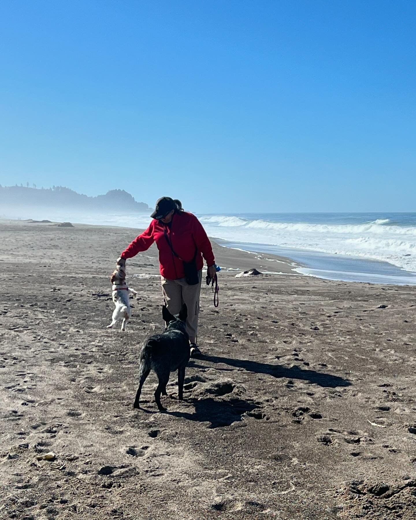 Gus and his &ldquo;hanging&rdquo; out buddy Winston at the beach