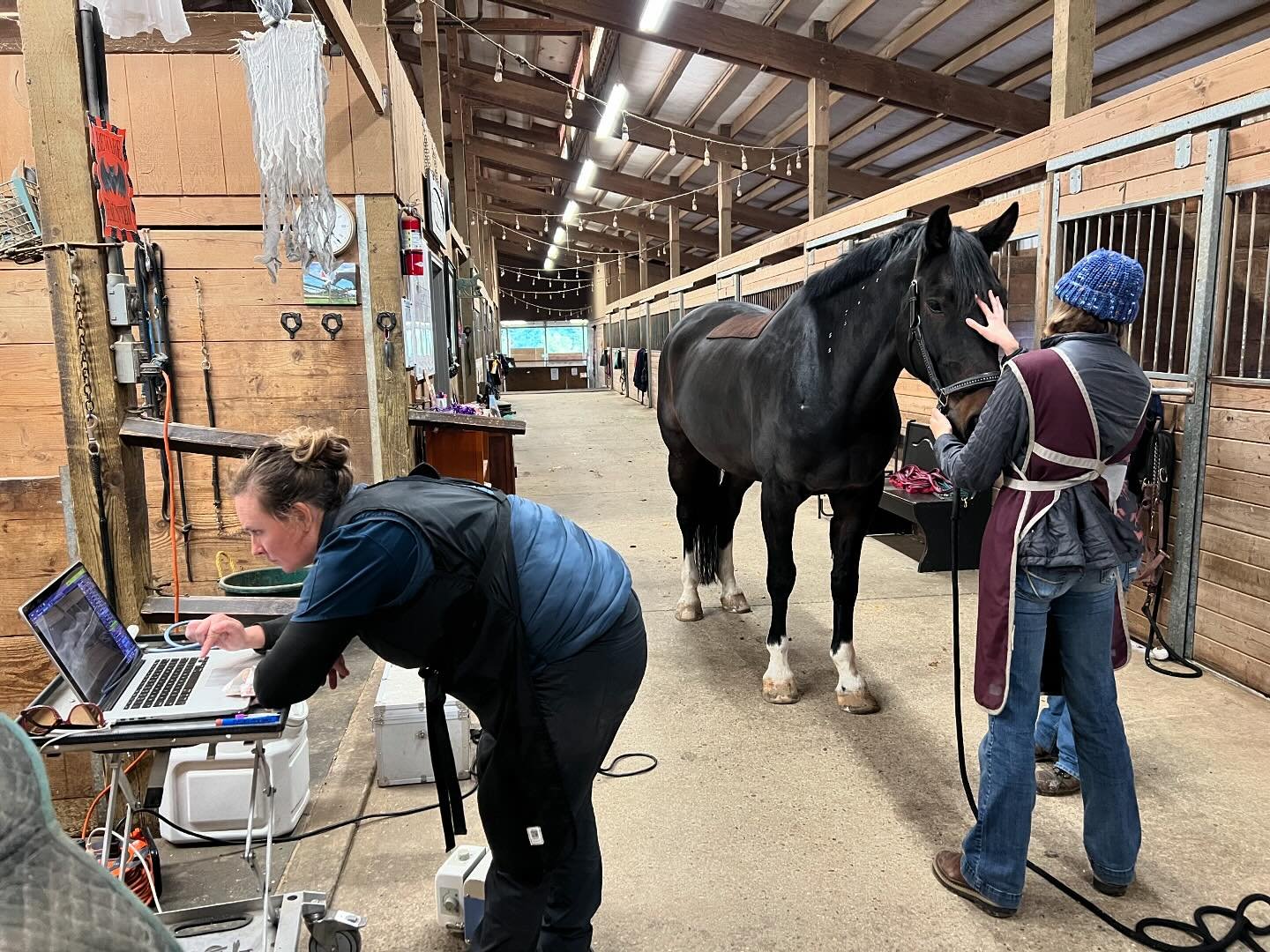 Kade being checked out by Dr Magorian and Misty wondering if there is room to escape&hellip;