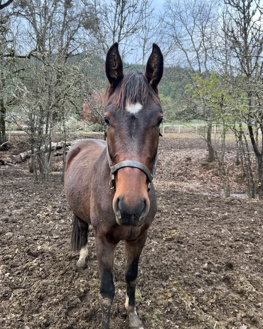 Welcome to the soggy season California boy! Wynston Wolffe