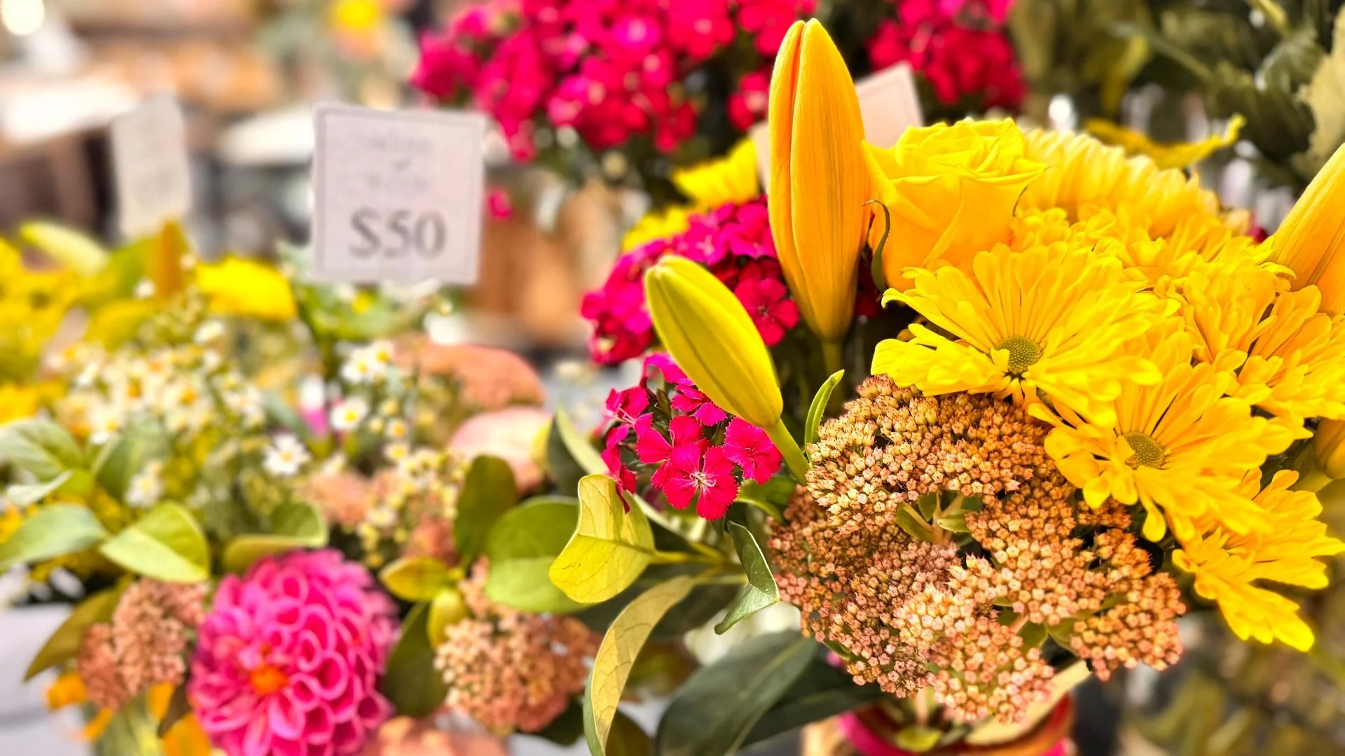 000--house-of-bloom.jpg