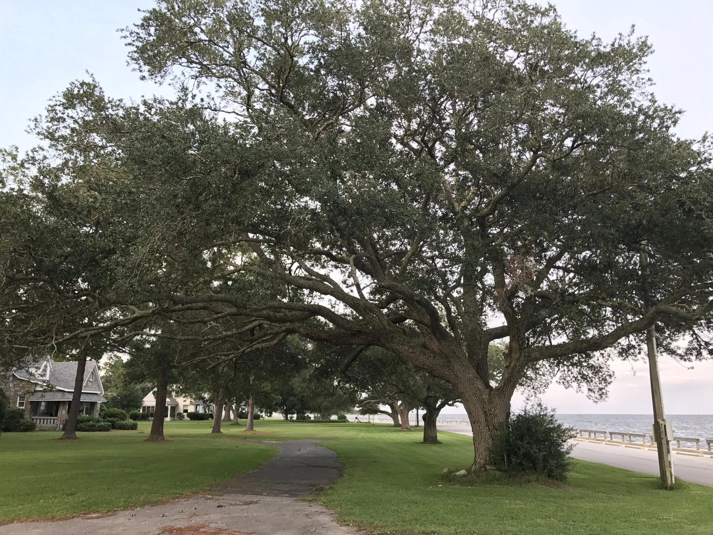 Must Learn Concepts for Entrepreneurs from Books