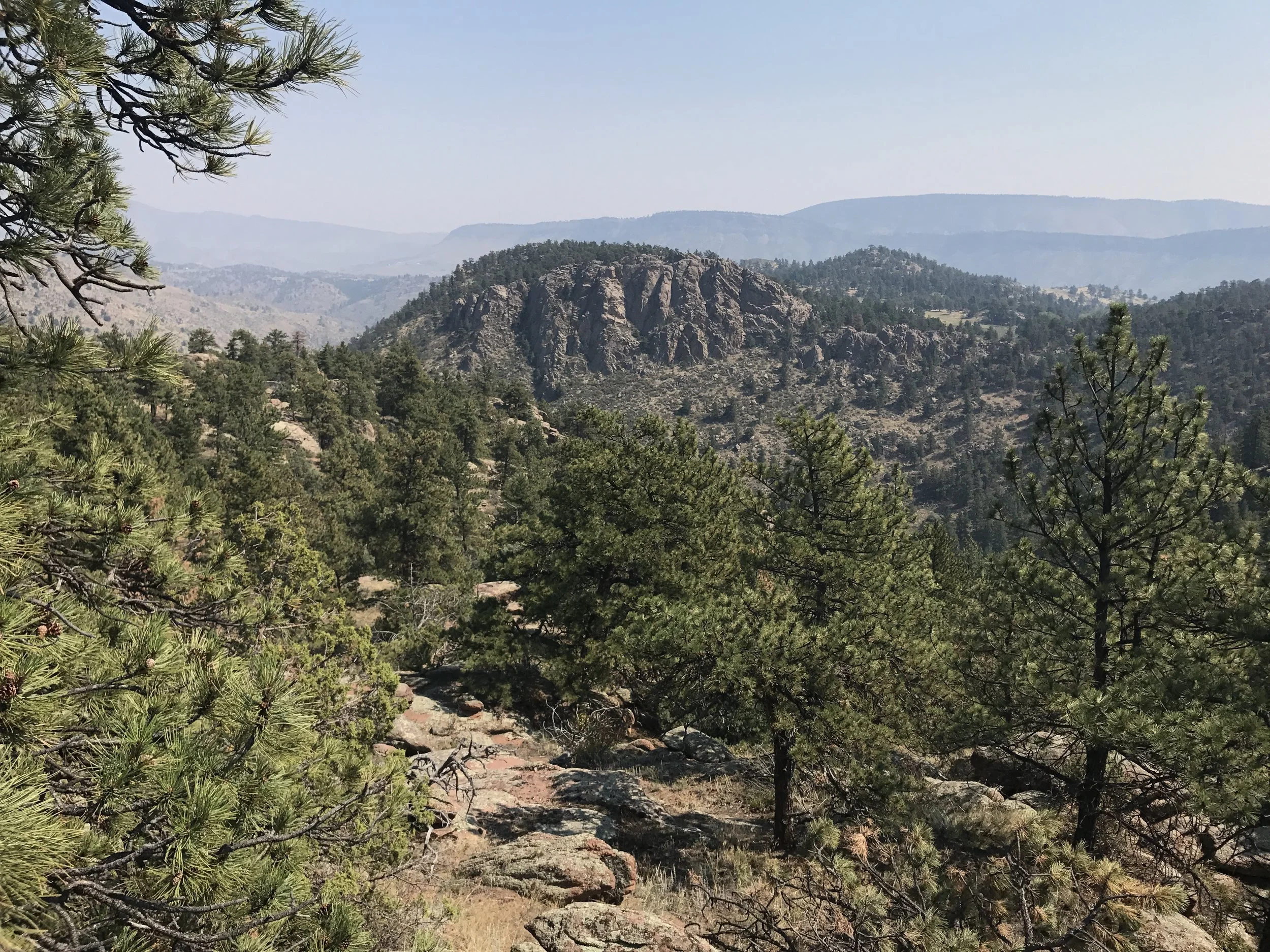 Widgets Should be Easy & Everywhere