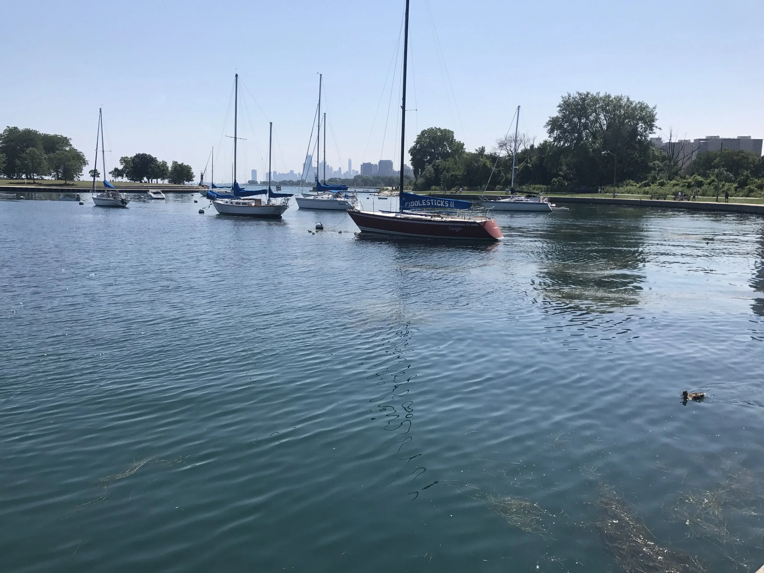 Weekend in Chicago (Cubs, Roger Creager, Rooftops)