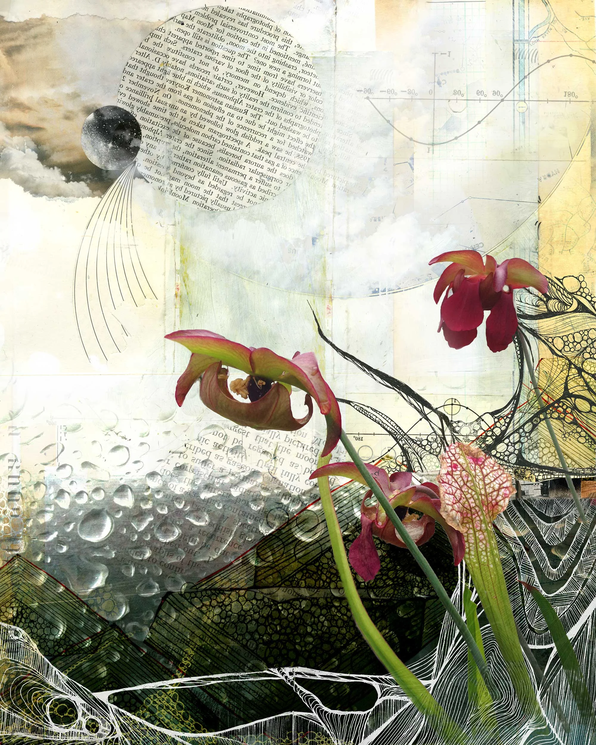 April (Bloom)