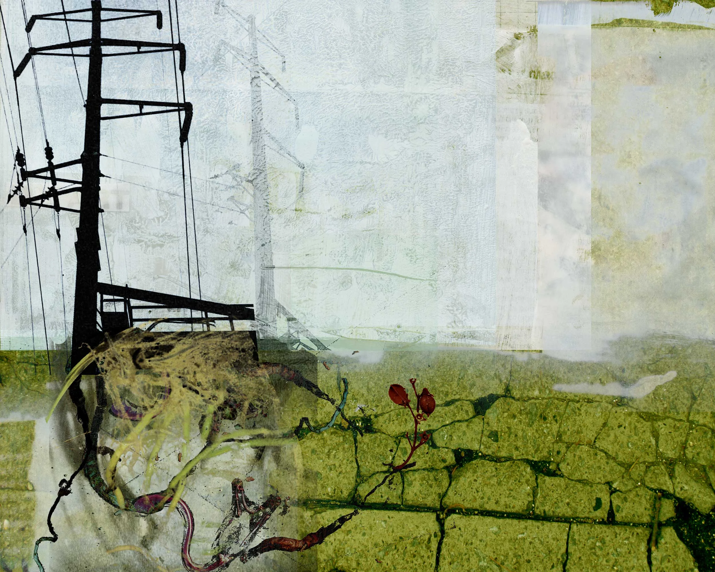 Rooted