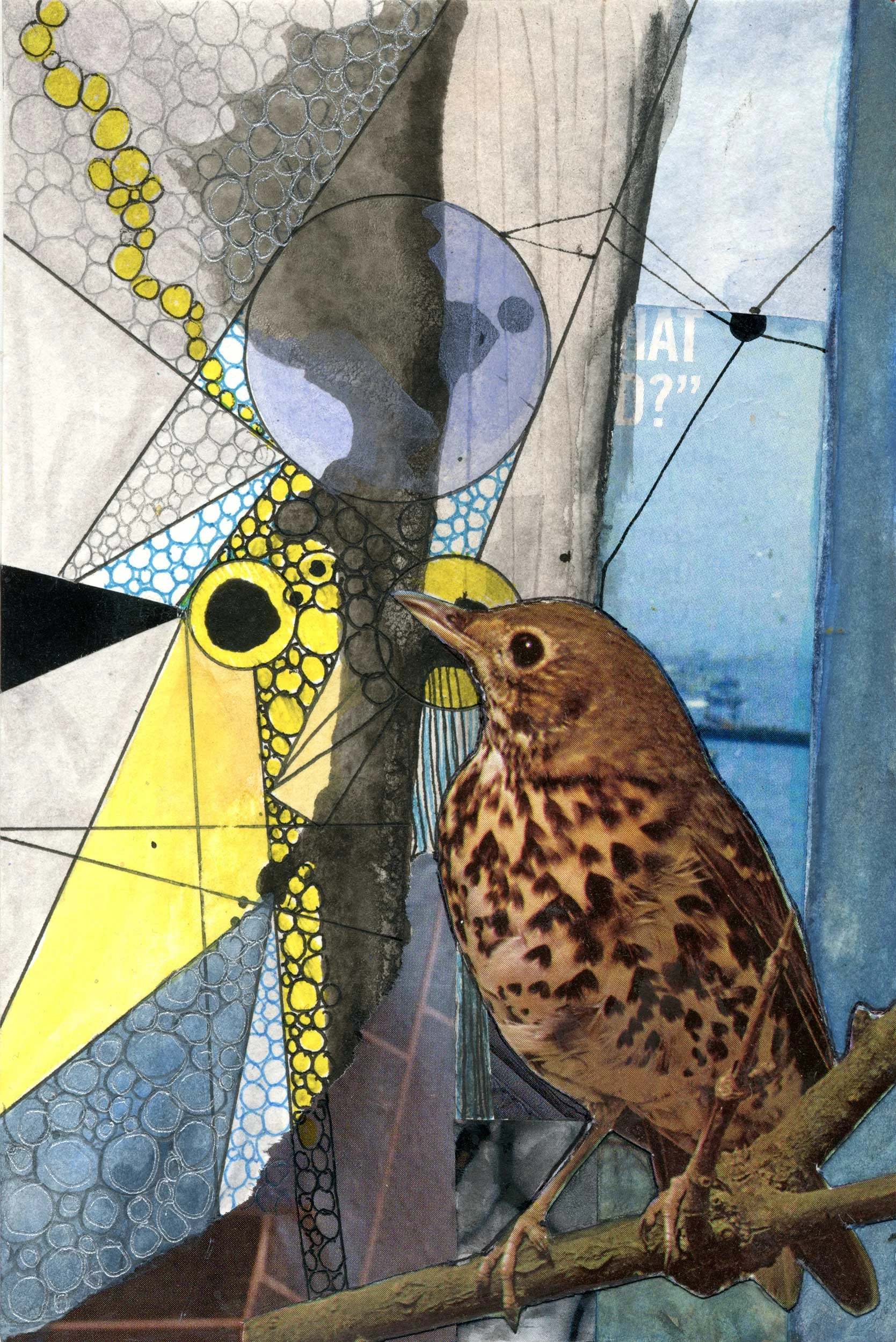 Sparrow