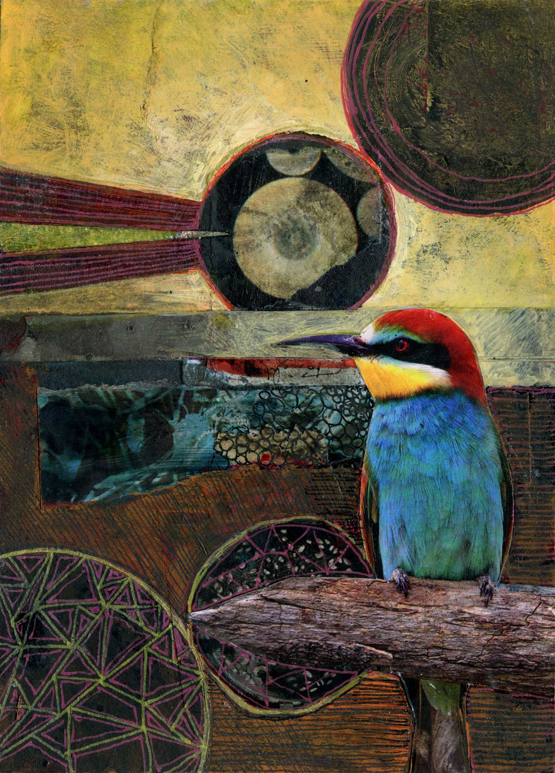 European Bee-Eater