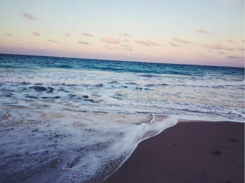 vsco_042117-1.jpg