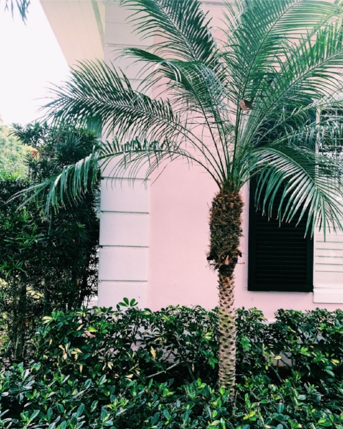 vsco_042217.jpg