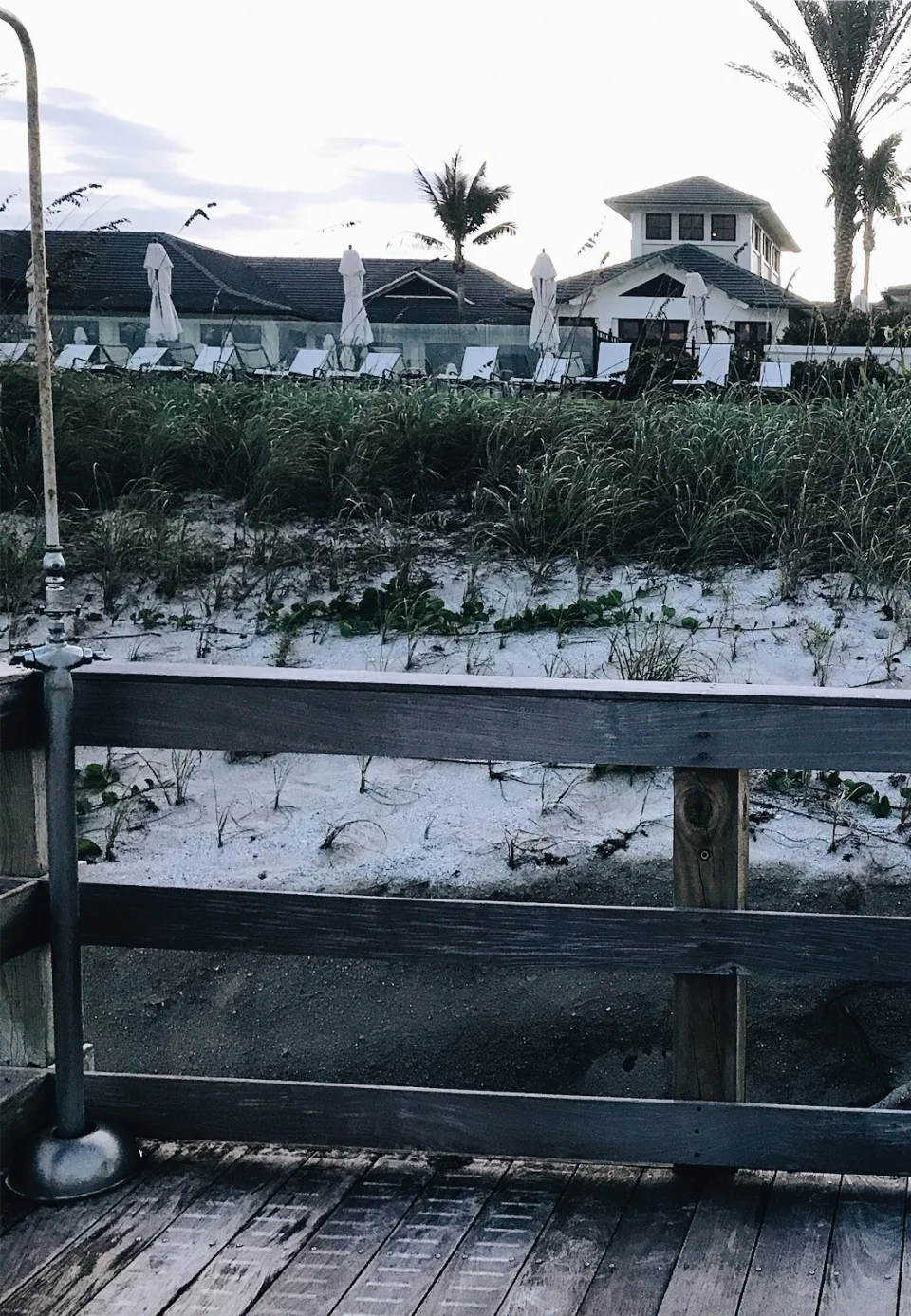 vsco59e73d7f8041d.jpg