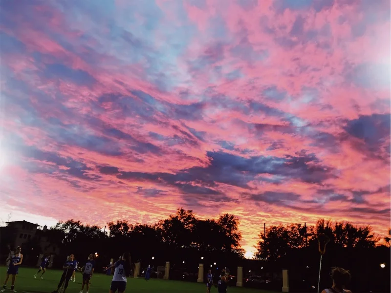 vsco5a56d6a1c6c36.jpg