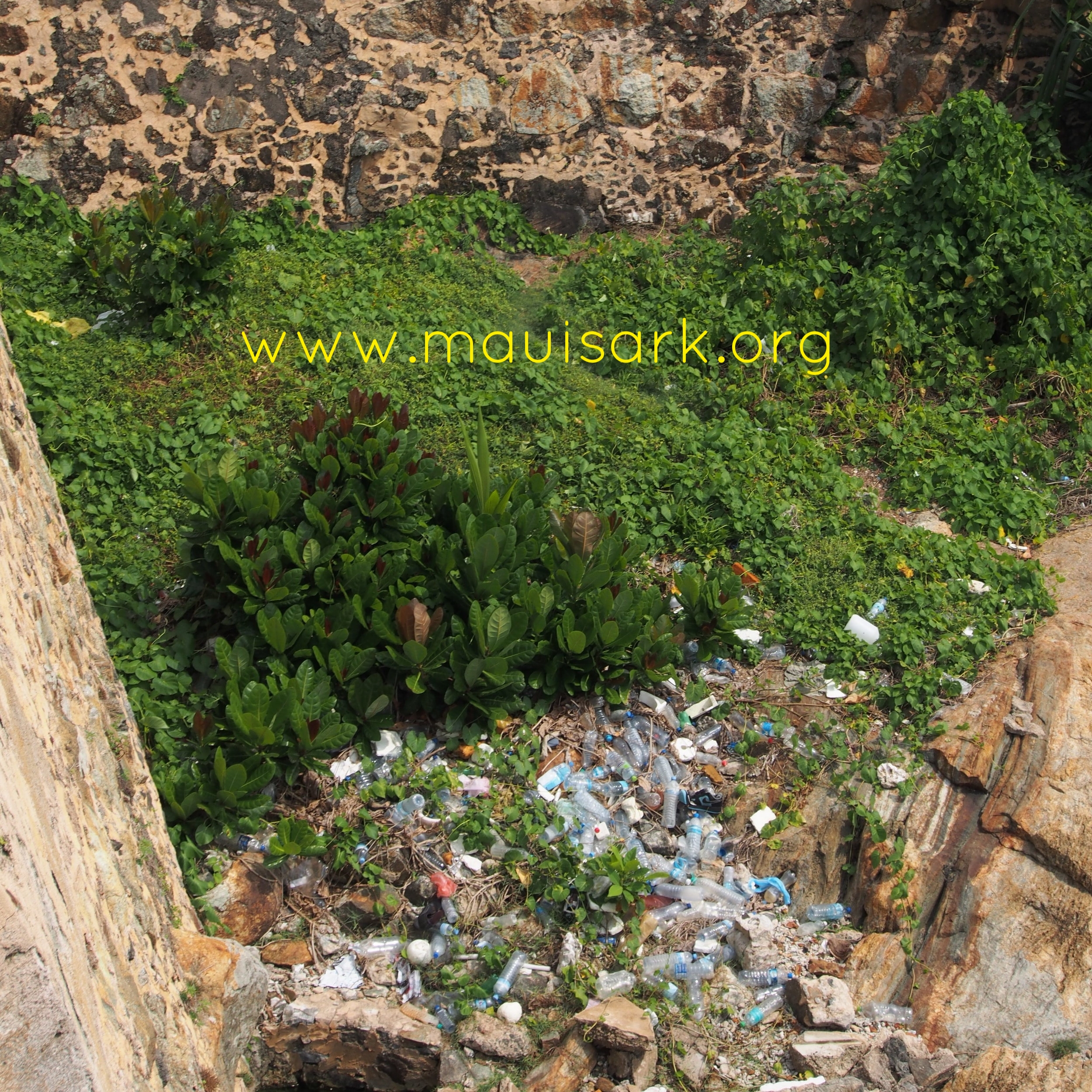 Plastic flotsam, Galle Fortress, Sri Lanka