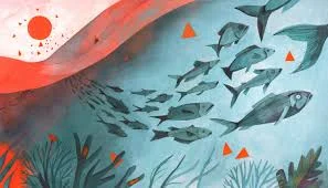 Fish migrate from warming waters. This effects not only their breeding patterns and distribution in the ocean, but also deprives the countries whose waters the fish leave from of food and from earning a living by catching them for export.