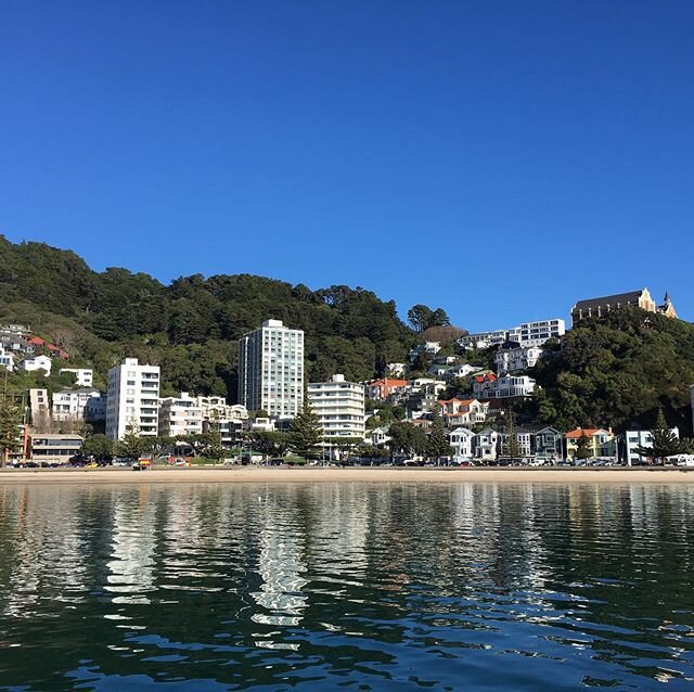 Oriental Bay from the water.