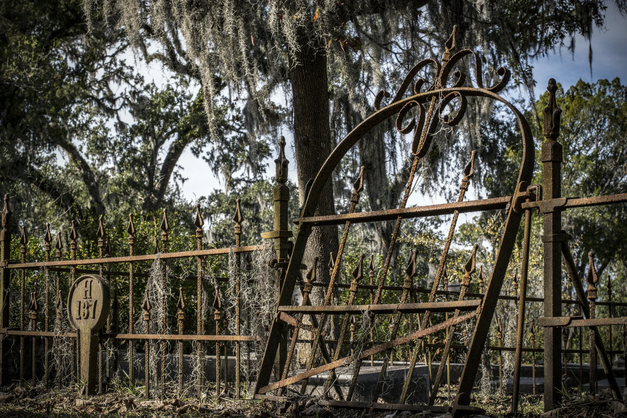 Bonaventure.Savannah.112517.LorienSmith-003 copy.jpg