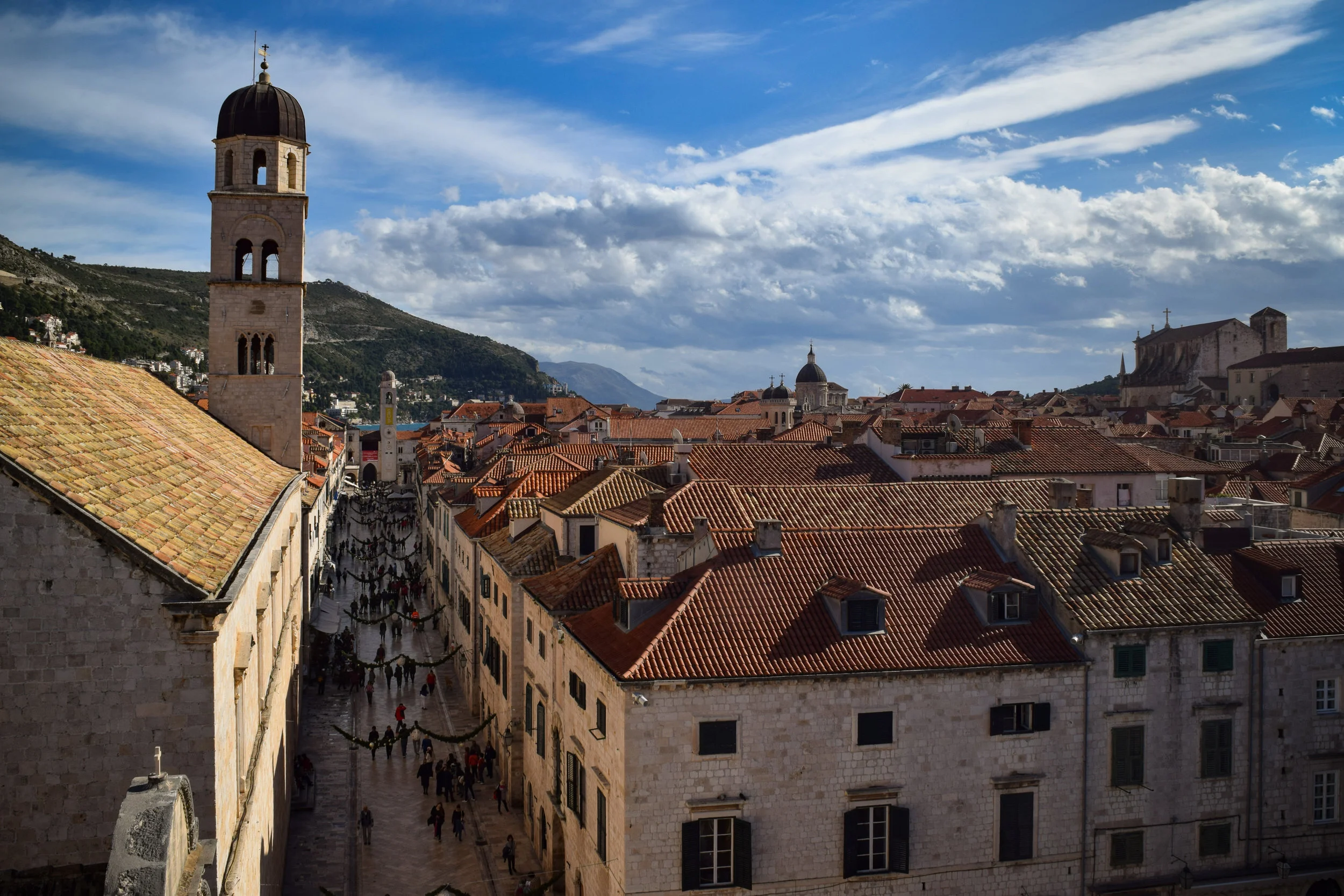 DSC_0156.jpg