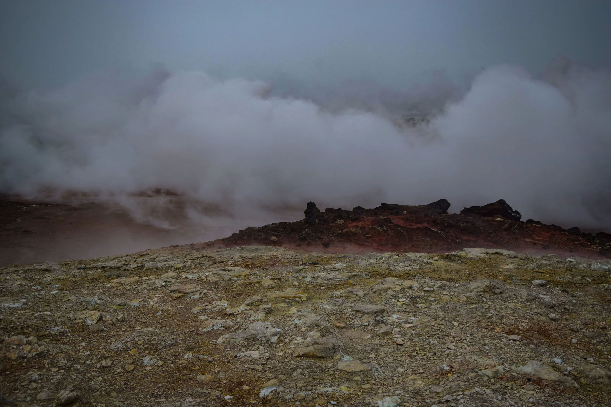 DSC_0173.jpg