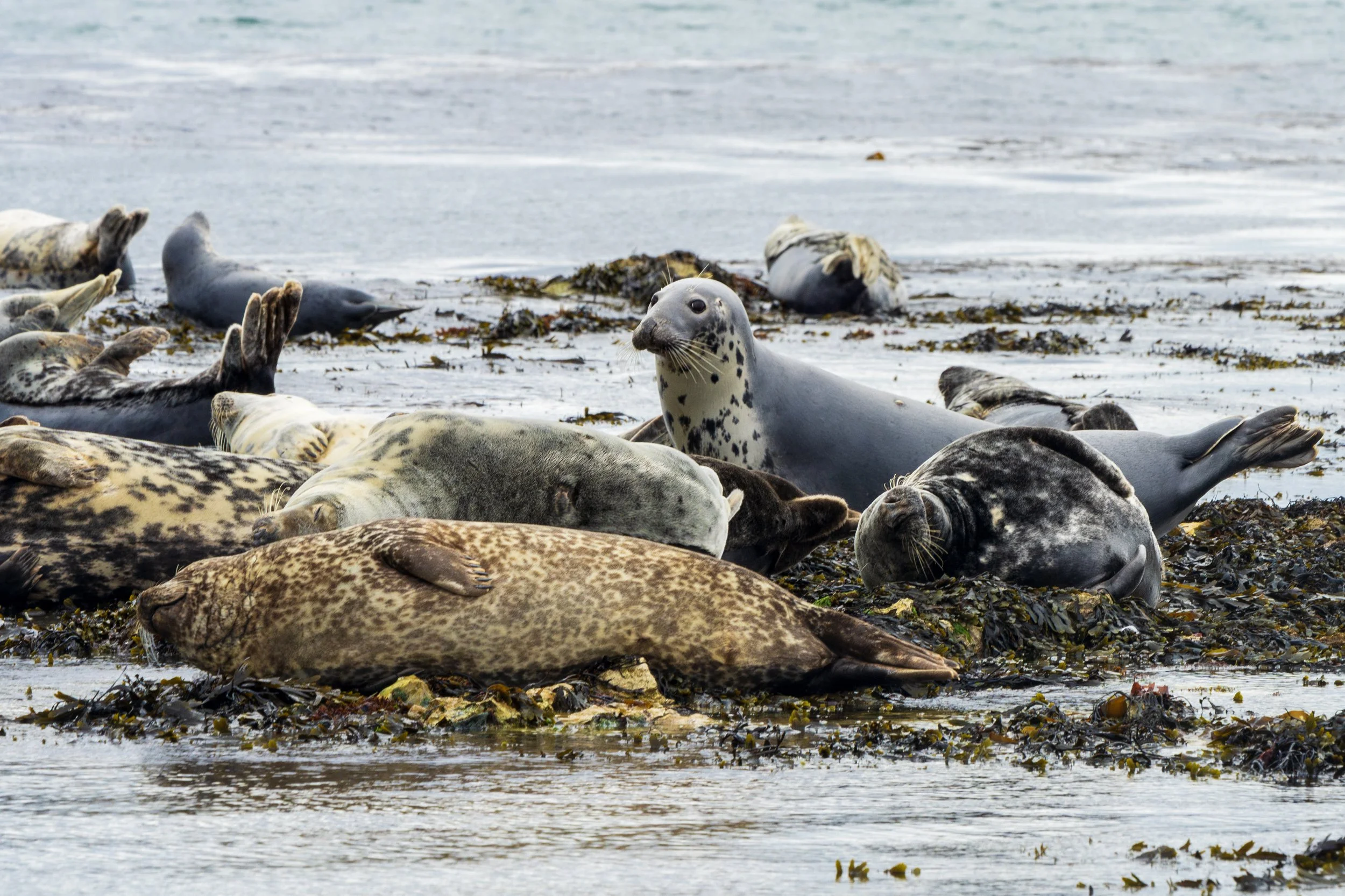 Ireland.July2024-36.jpg
