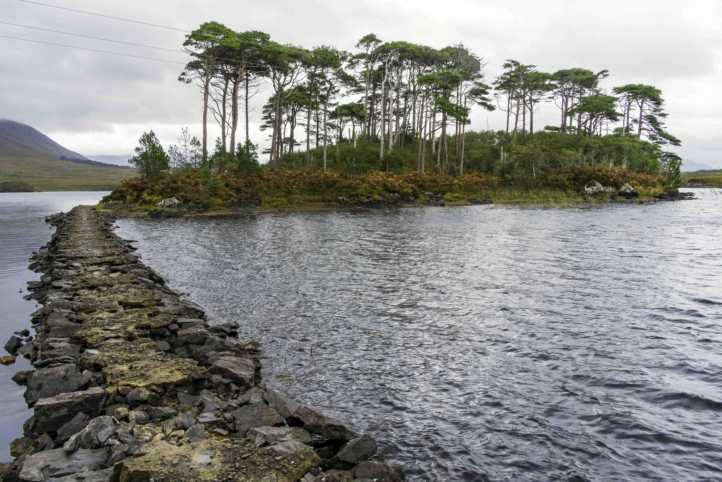 Ireland-1-24.jpg