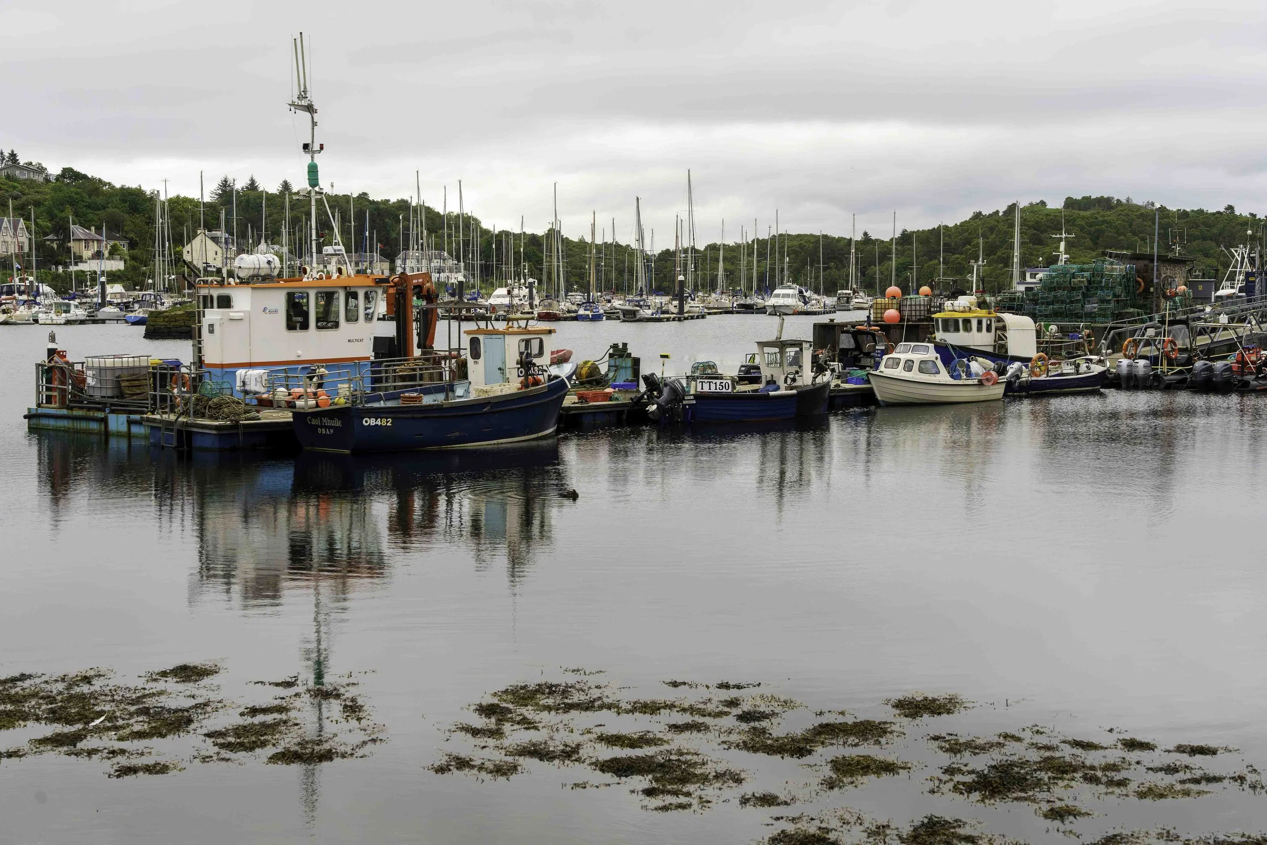 Scotland-1-3.jpg