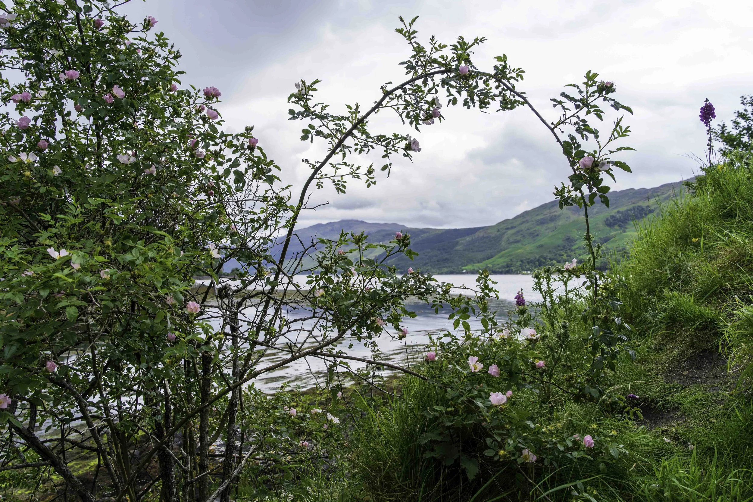 Scotland-1-14.jpg