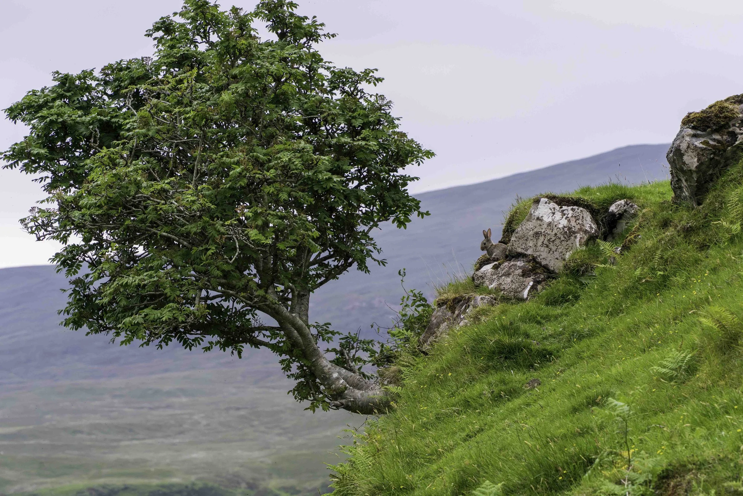 Scotland-1-20.jpg
