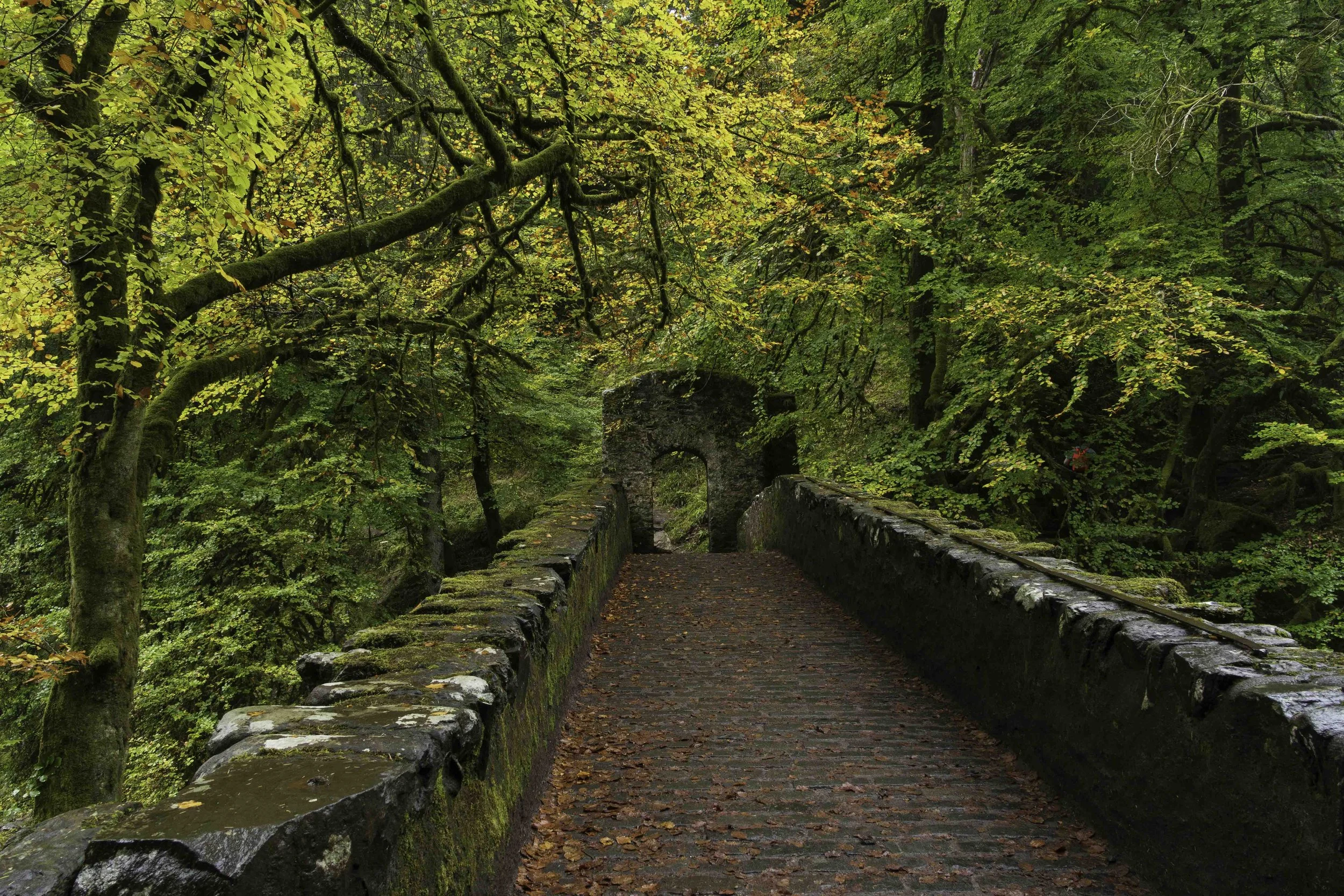Scotland-1-44.jpg