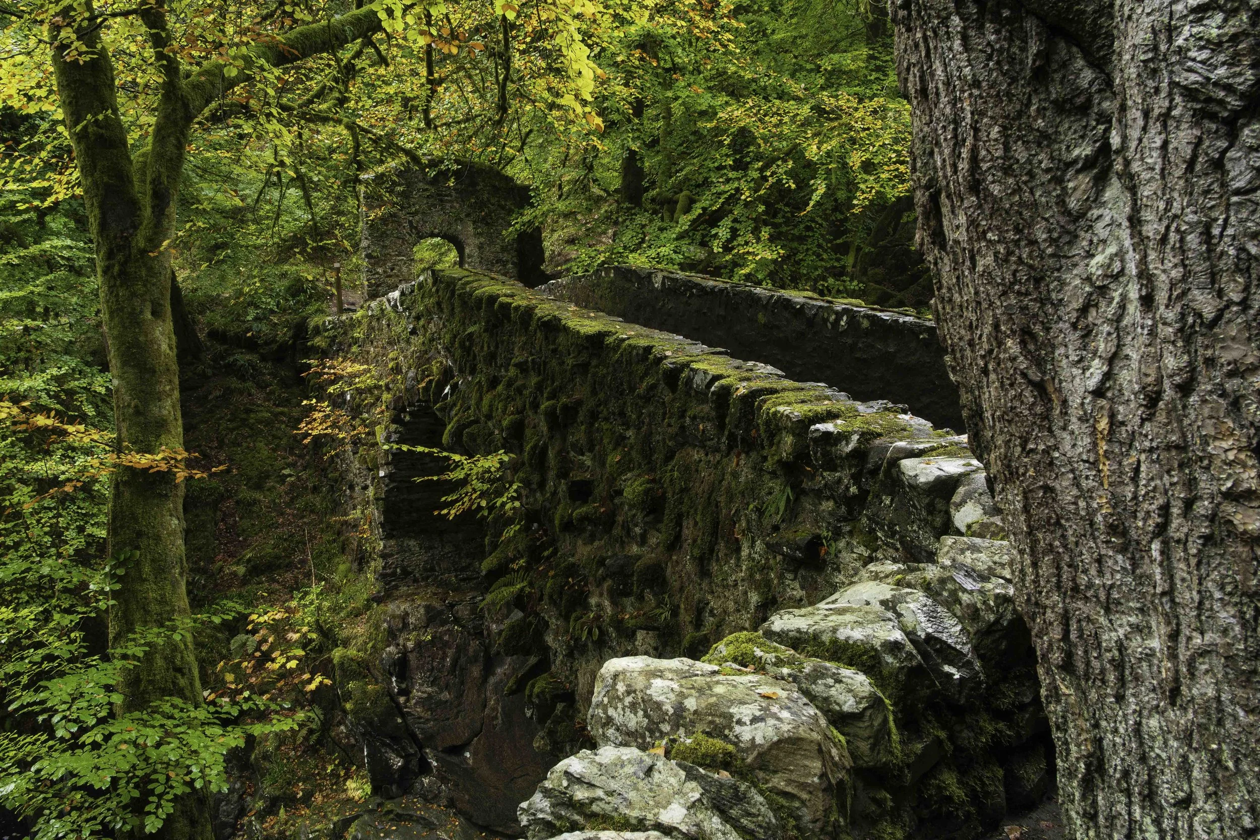 Scotland-1-45.jpg