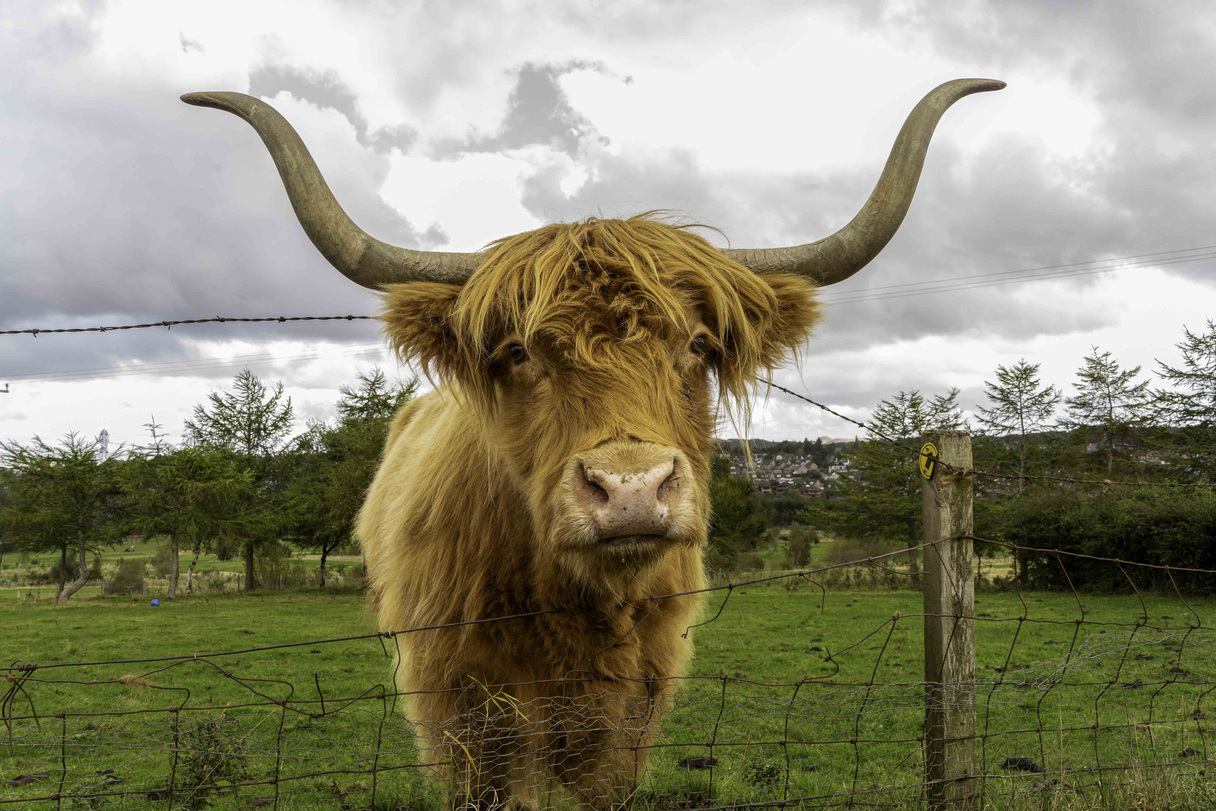Scotland-1-51.jpg