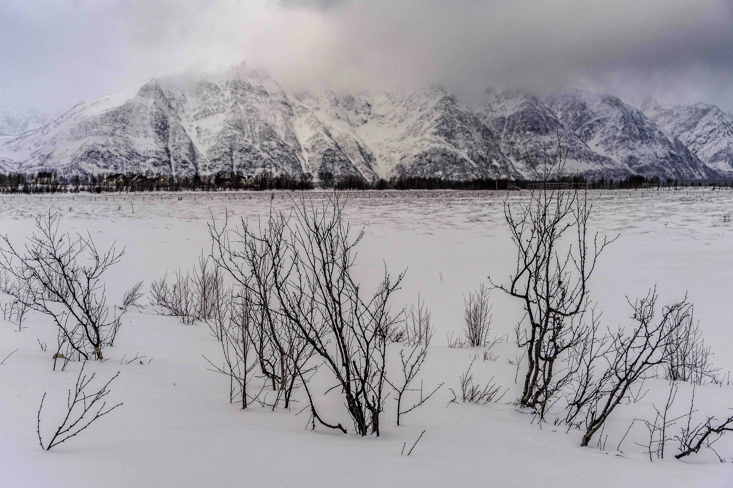 Norway-1-19.jpg