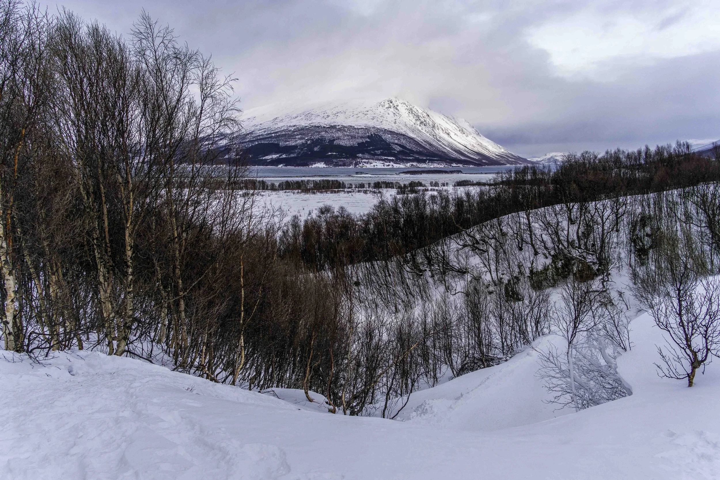 Norway-1-18.jpg