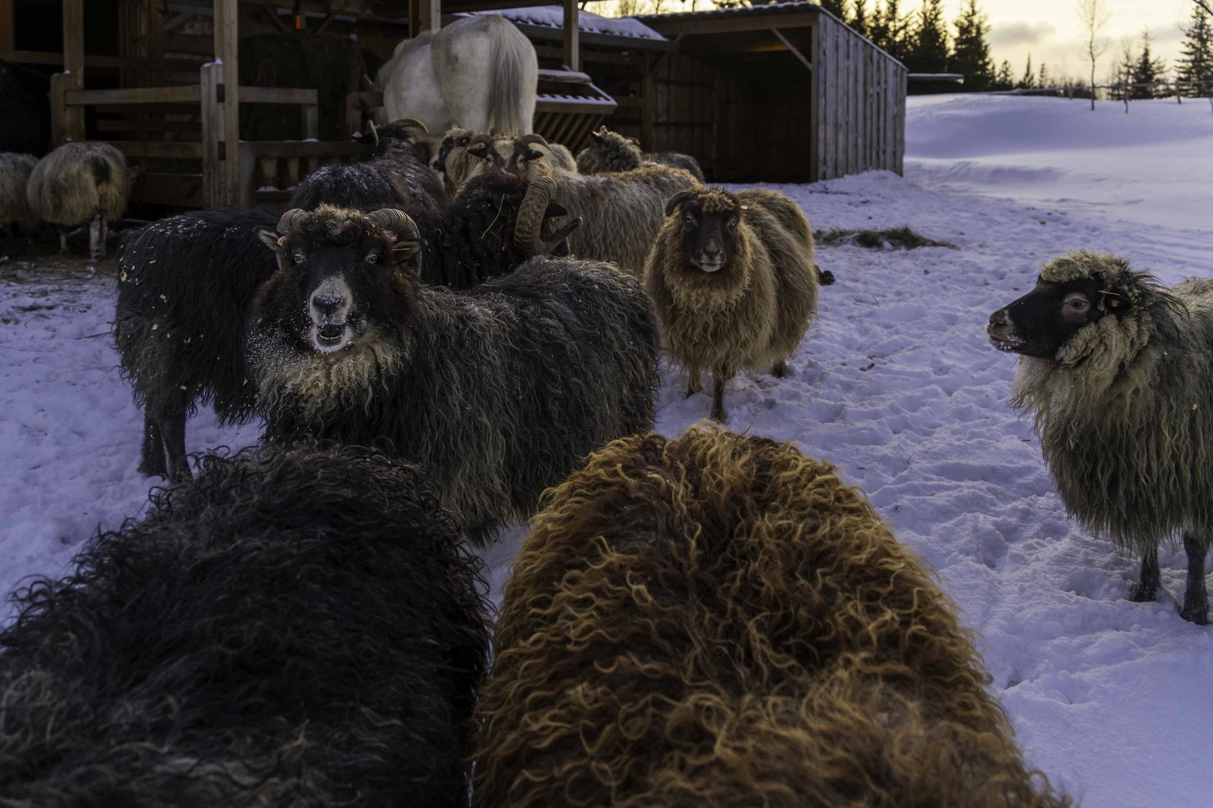 Norway-1-11.jpg