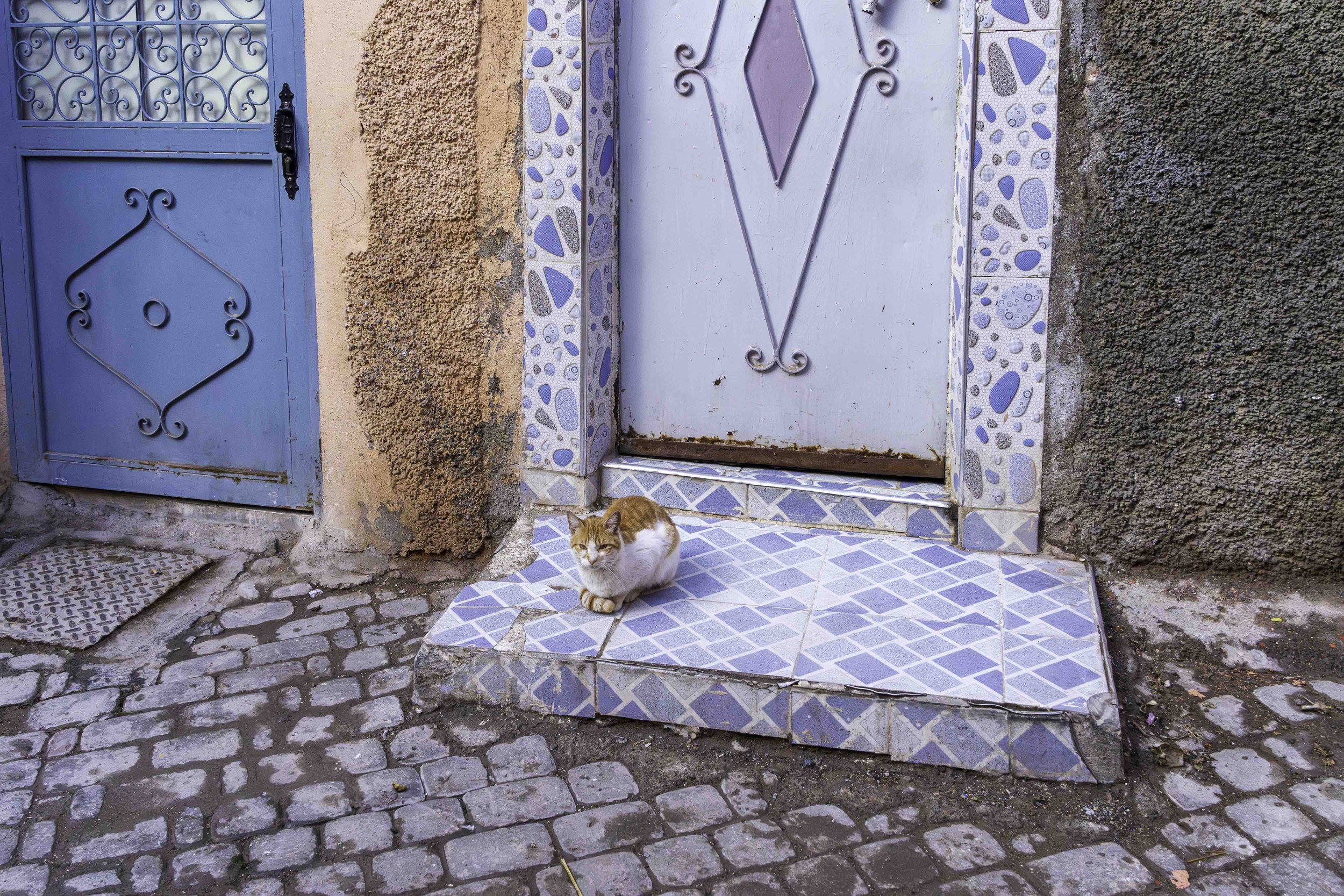 Morocco-1-15.jpg