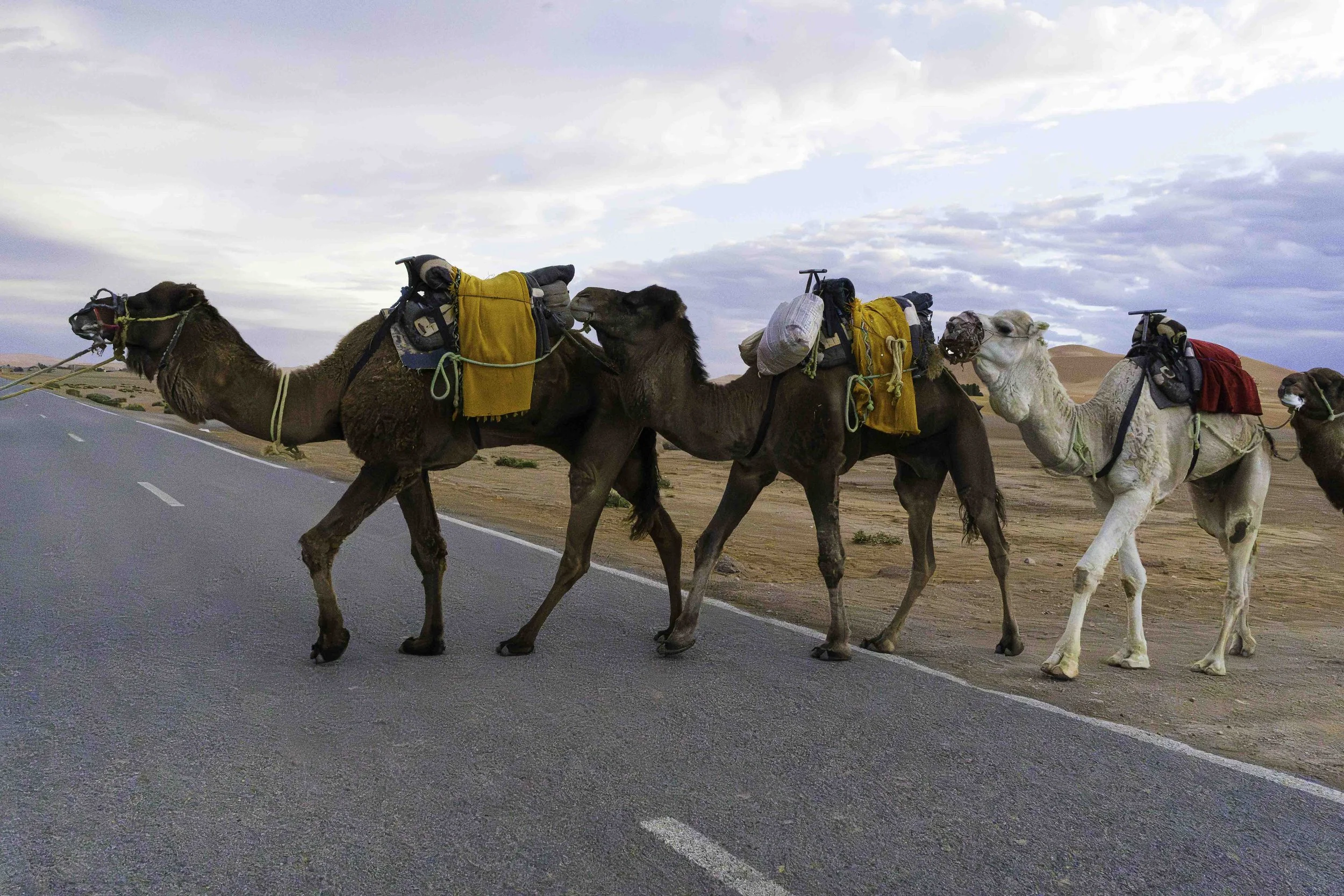 Morocco-1-23.jpg